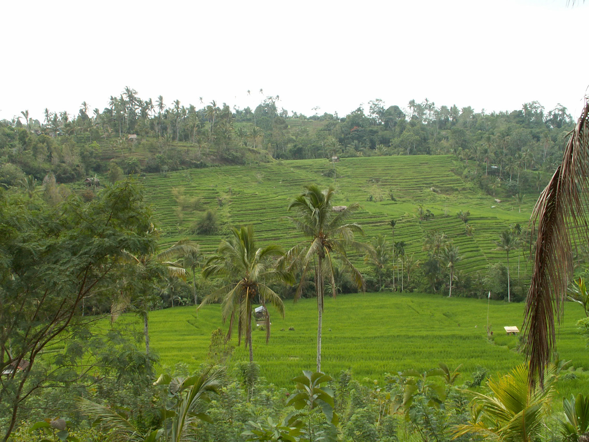 KONICA MINOLTA DIGITAL CAMERA