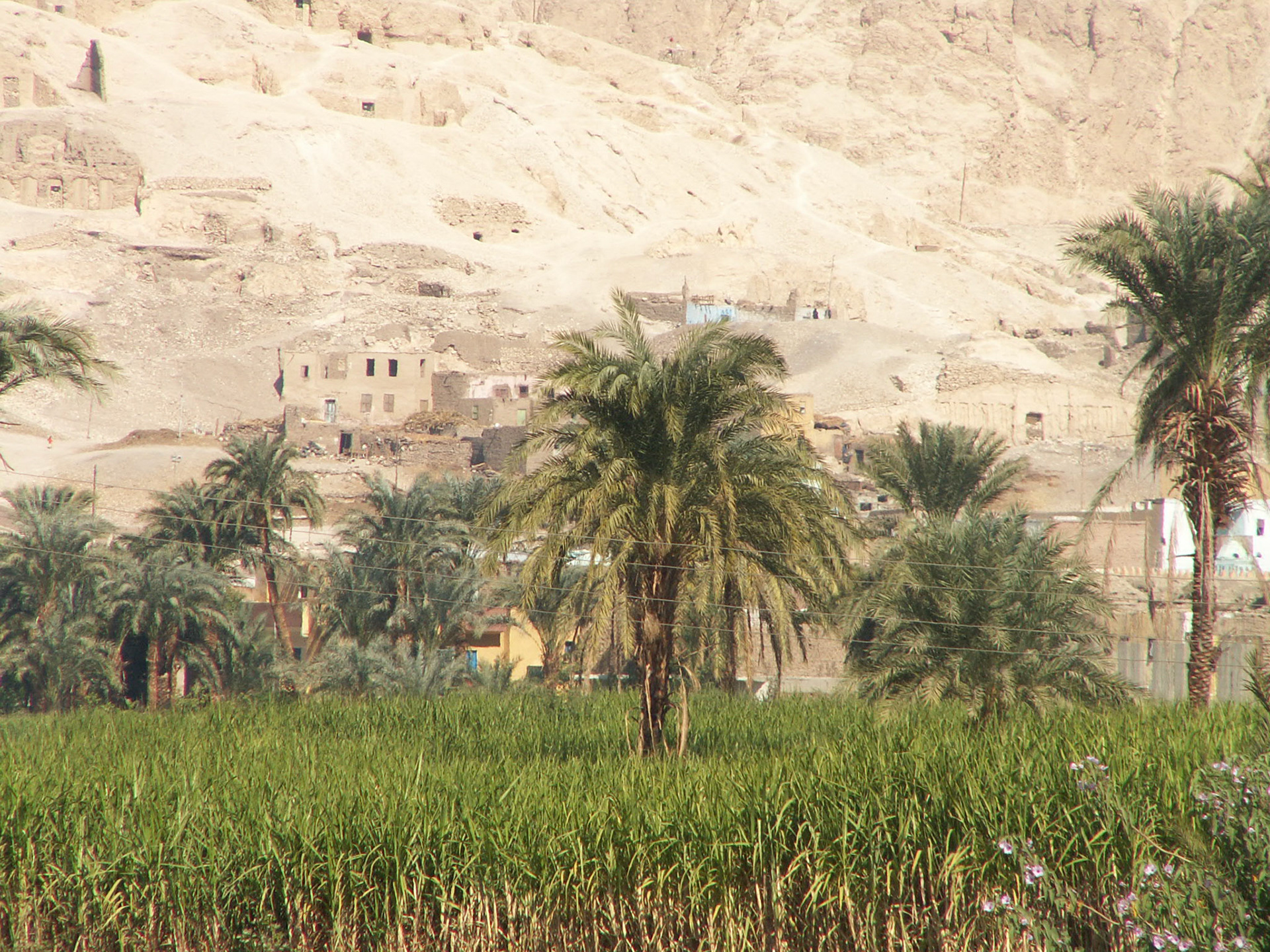 KONICA MINOLTA DIGITAL CAMERA