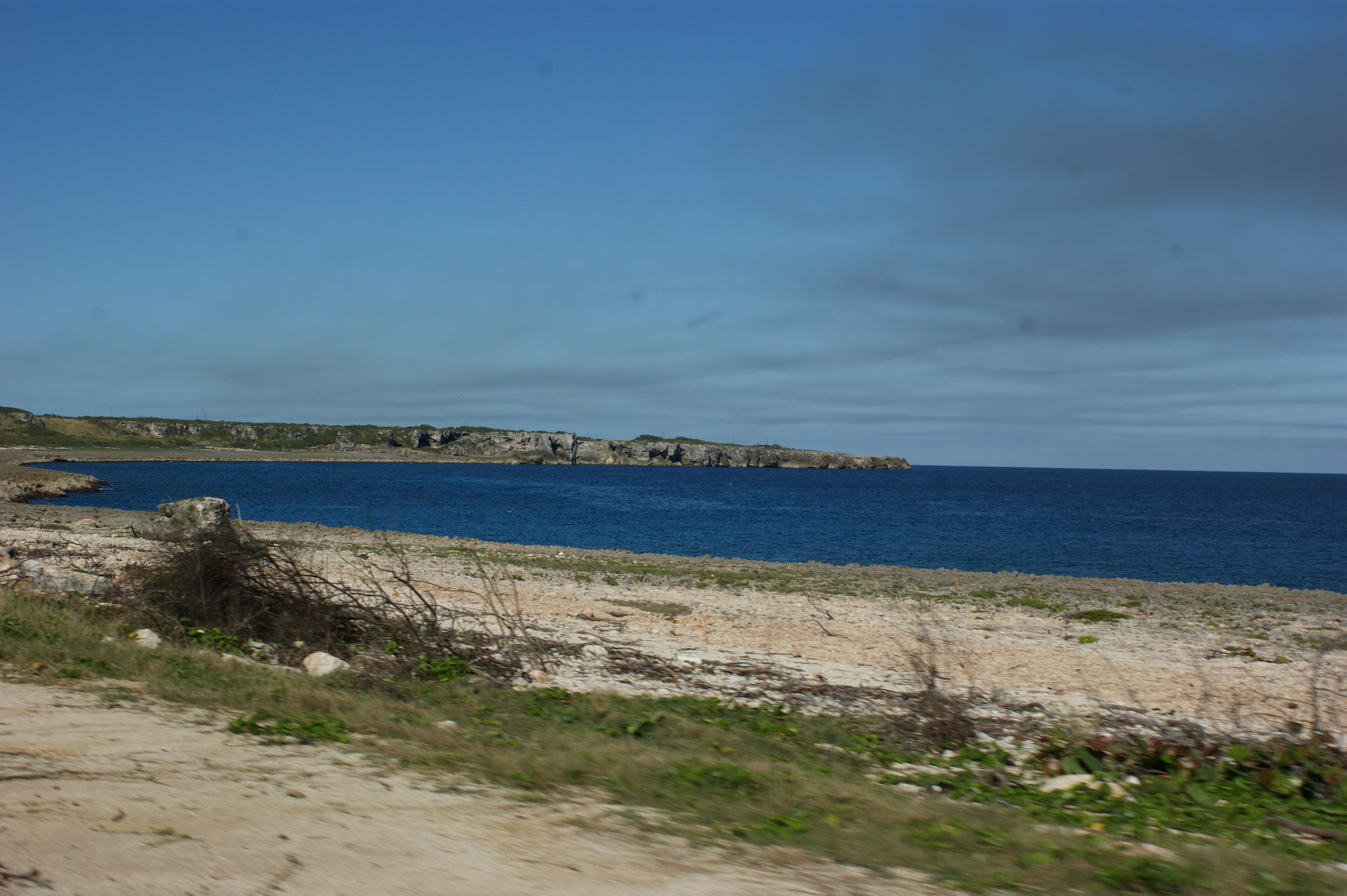SONY DSC