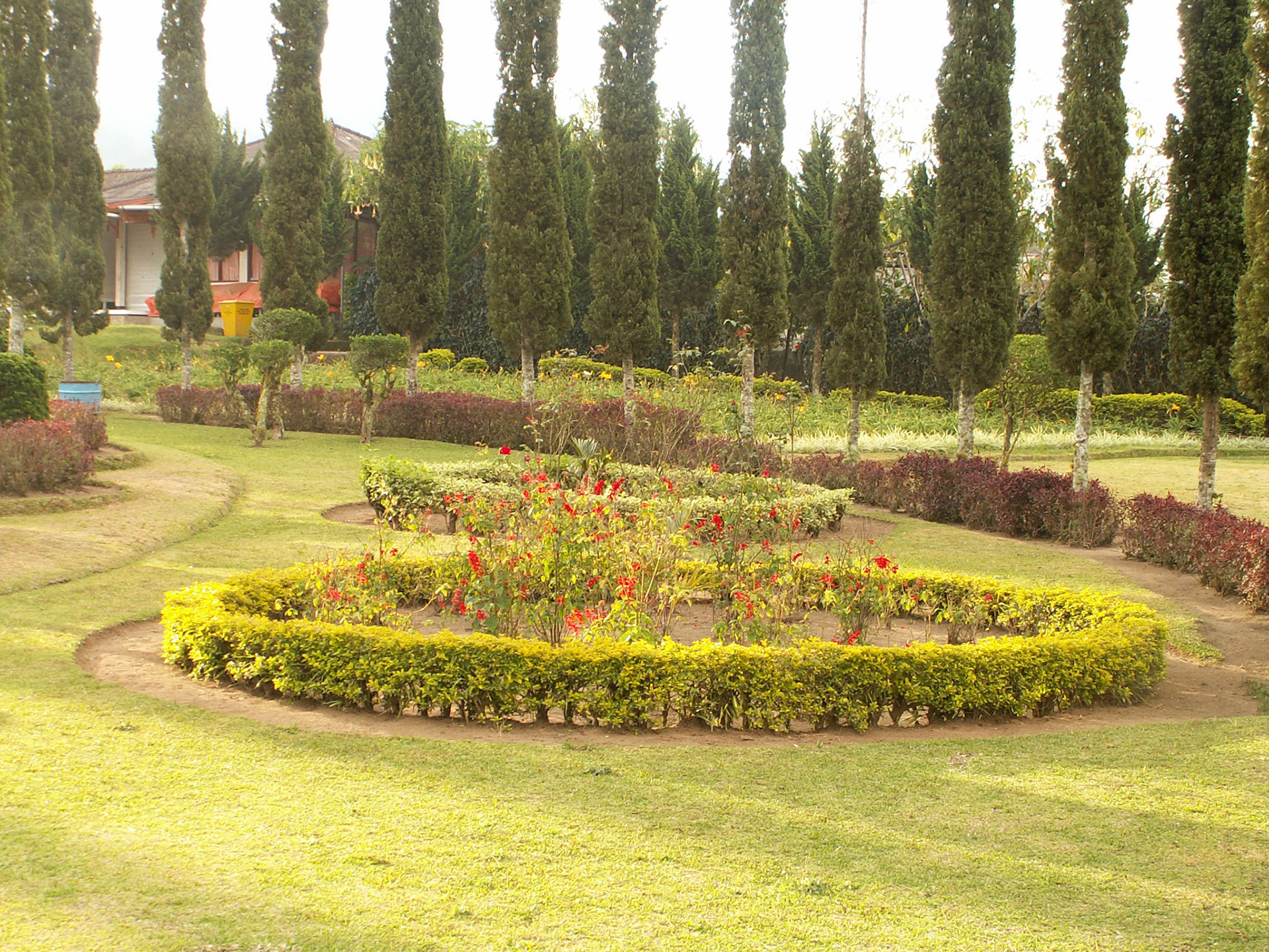 KONICA MINOLTA DIGITAL CAMERA