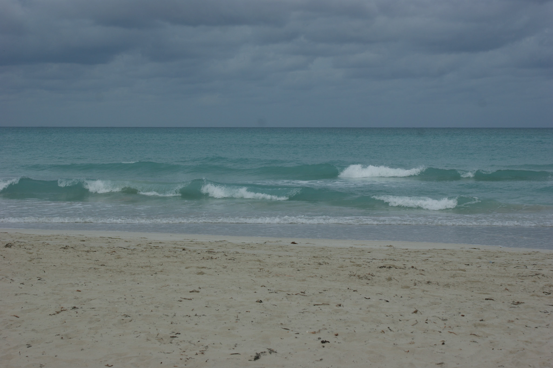 SONY DSC