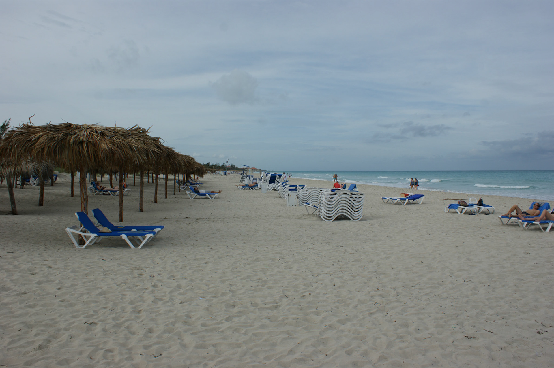 SONY DSC