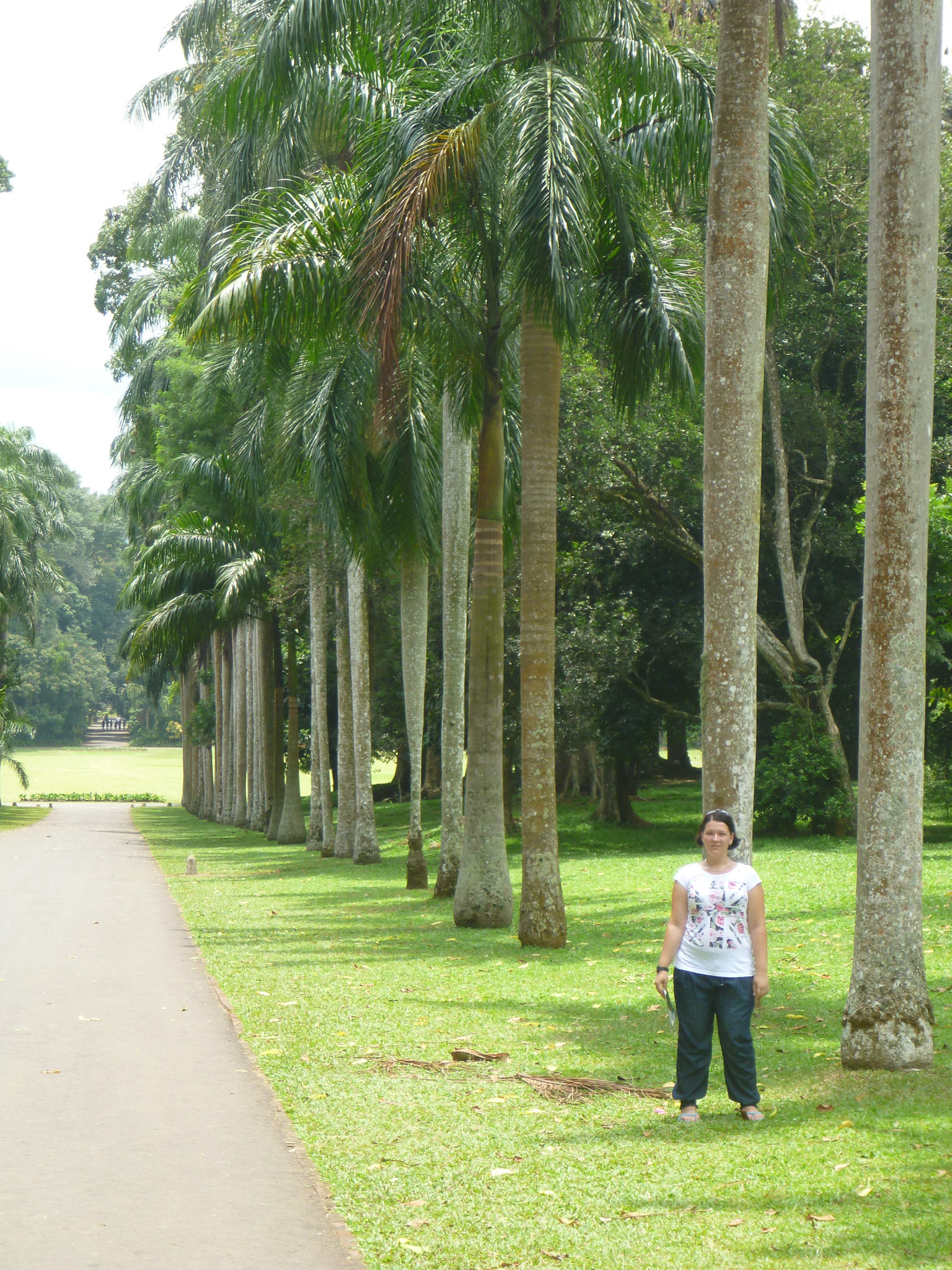 6.9.11 KANDY - Botanická zahrada