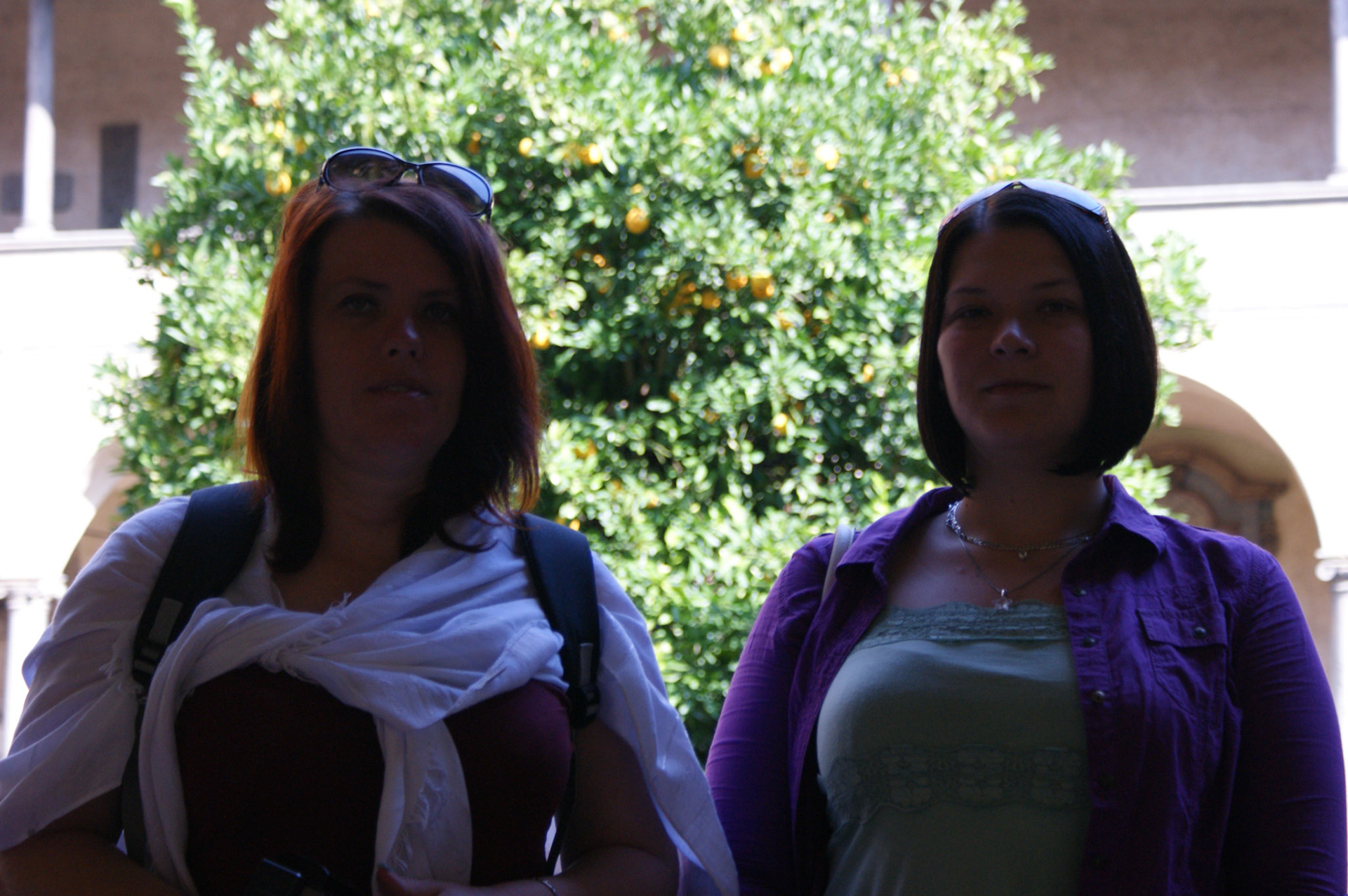 SONY DSC