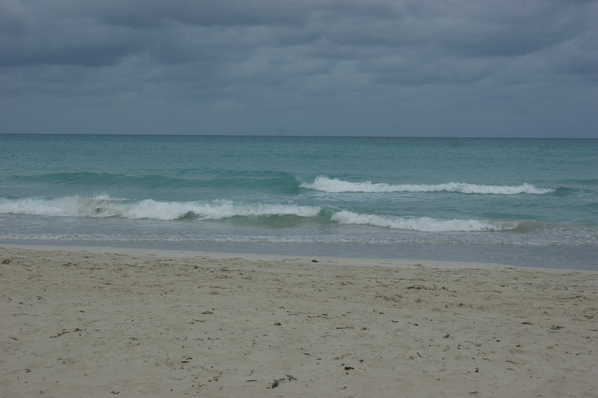 SONY DSC