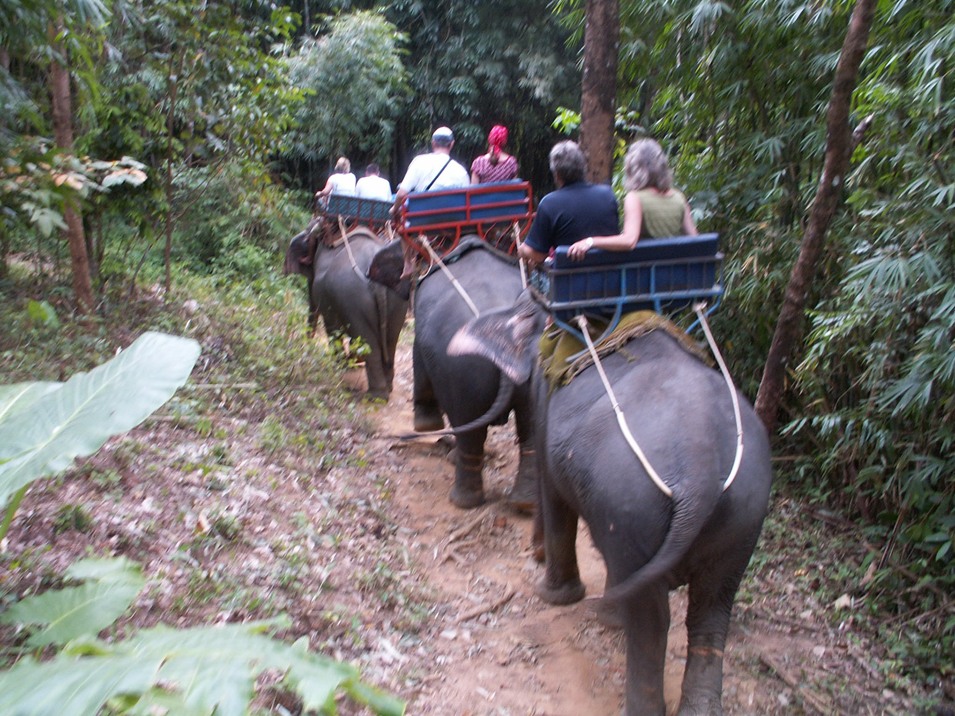 KONICA MINOLTA DIGITAL CAMERA