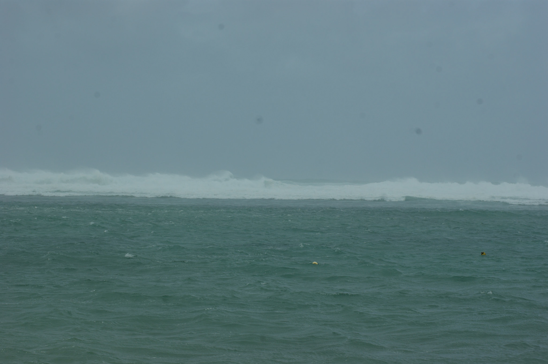 SONY DSC