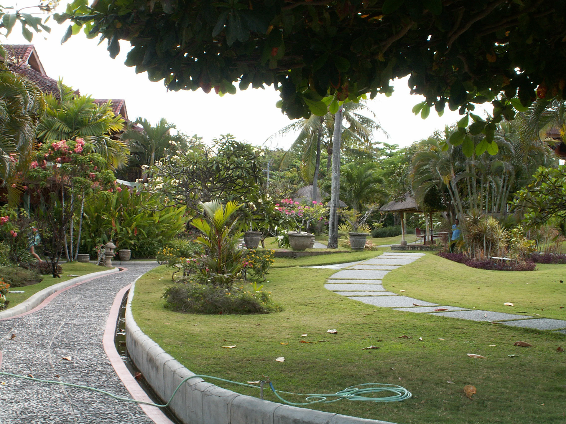 KONICA MINOLTA DIGITAL CAMERA