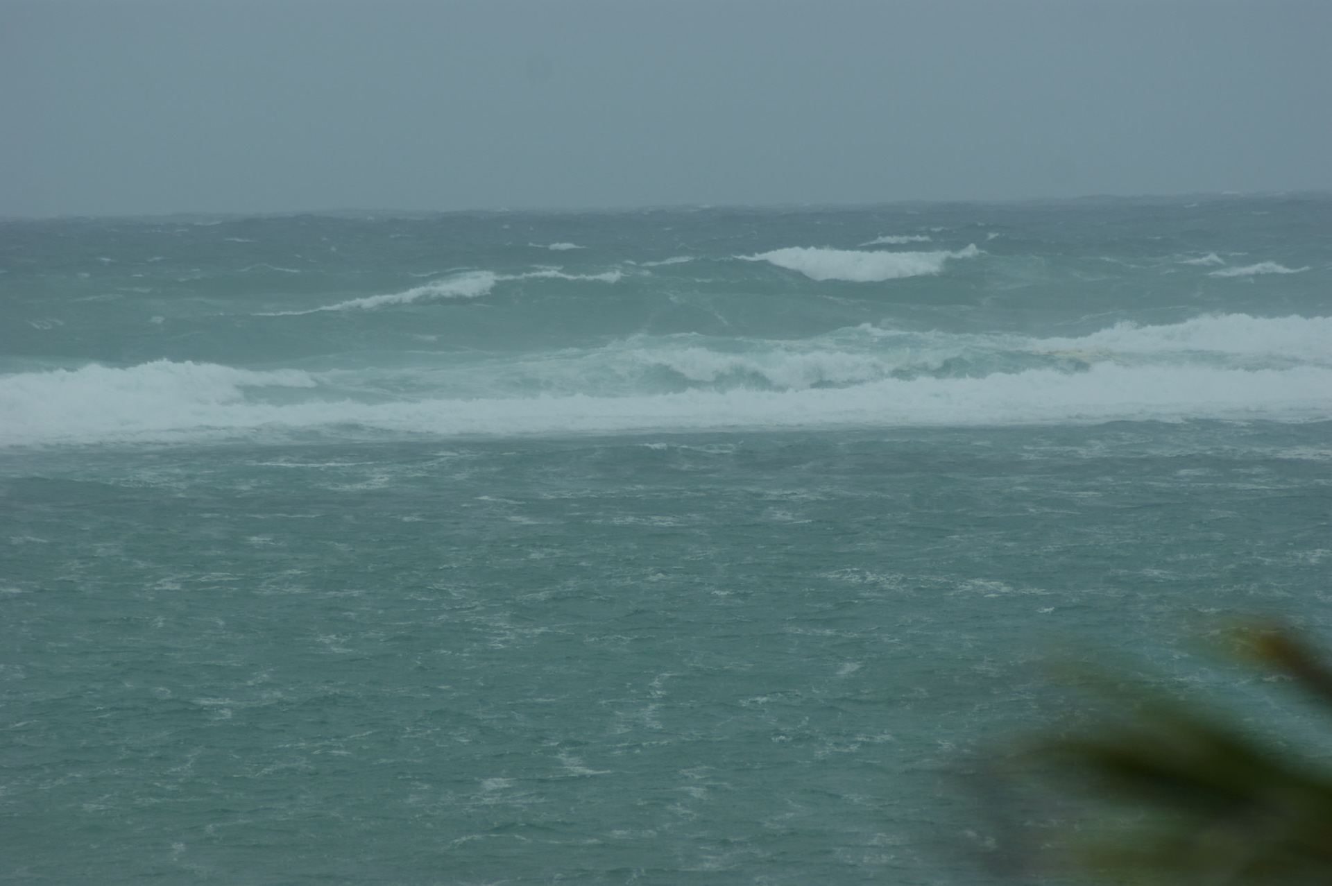 SONY DSC
