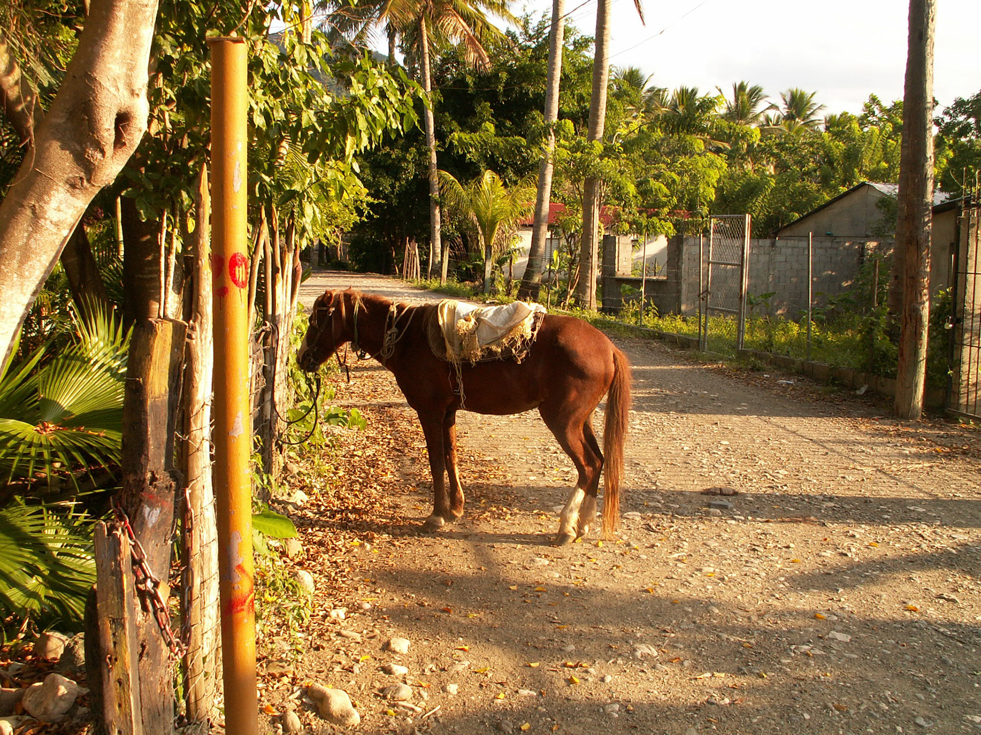 KONICA MINOLTA DIGITAL CAMERA