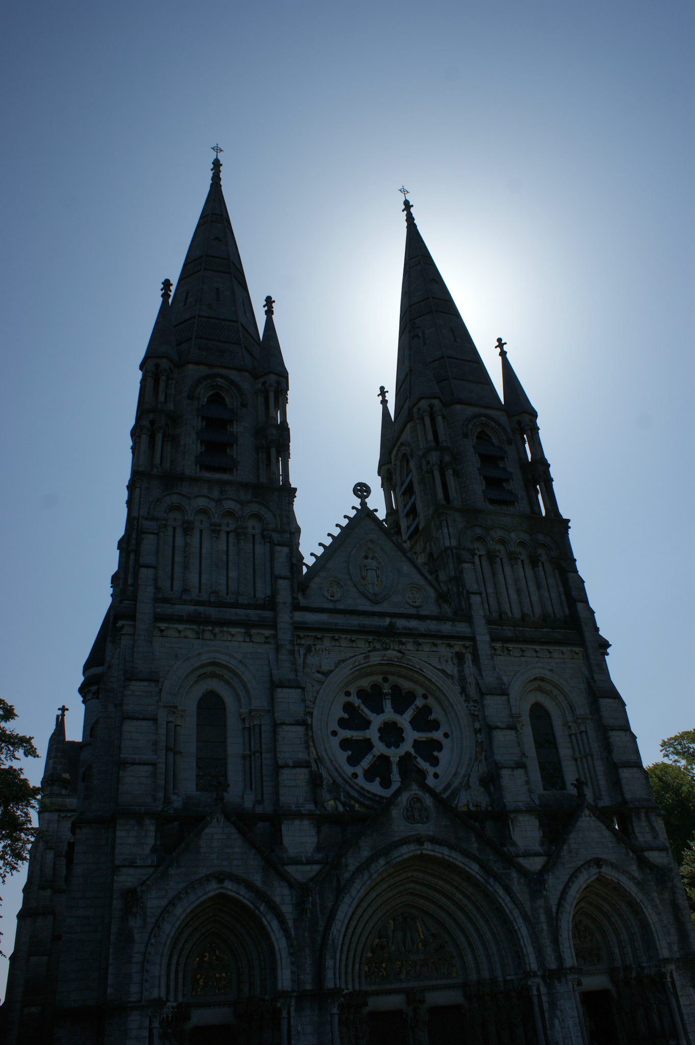 SONY DSC
