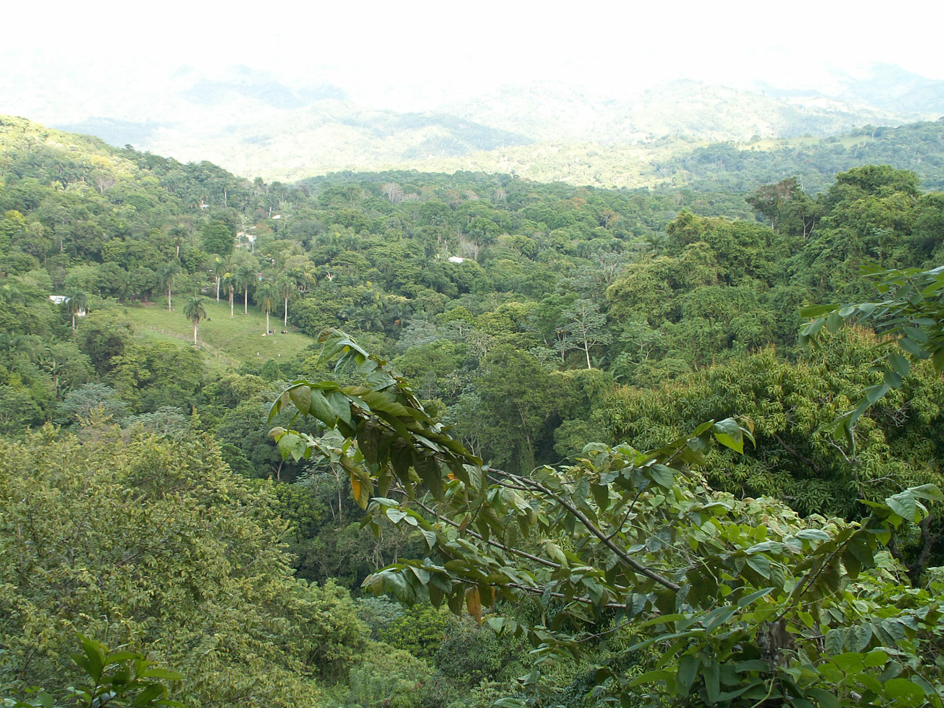 KONICA MINOLTA DIGITAL CAMERA