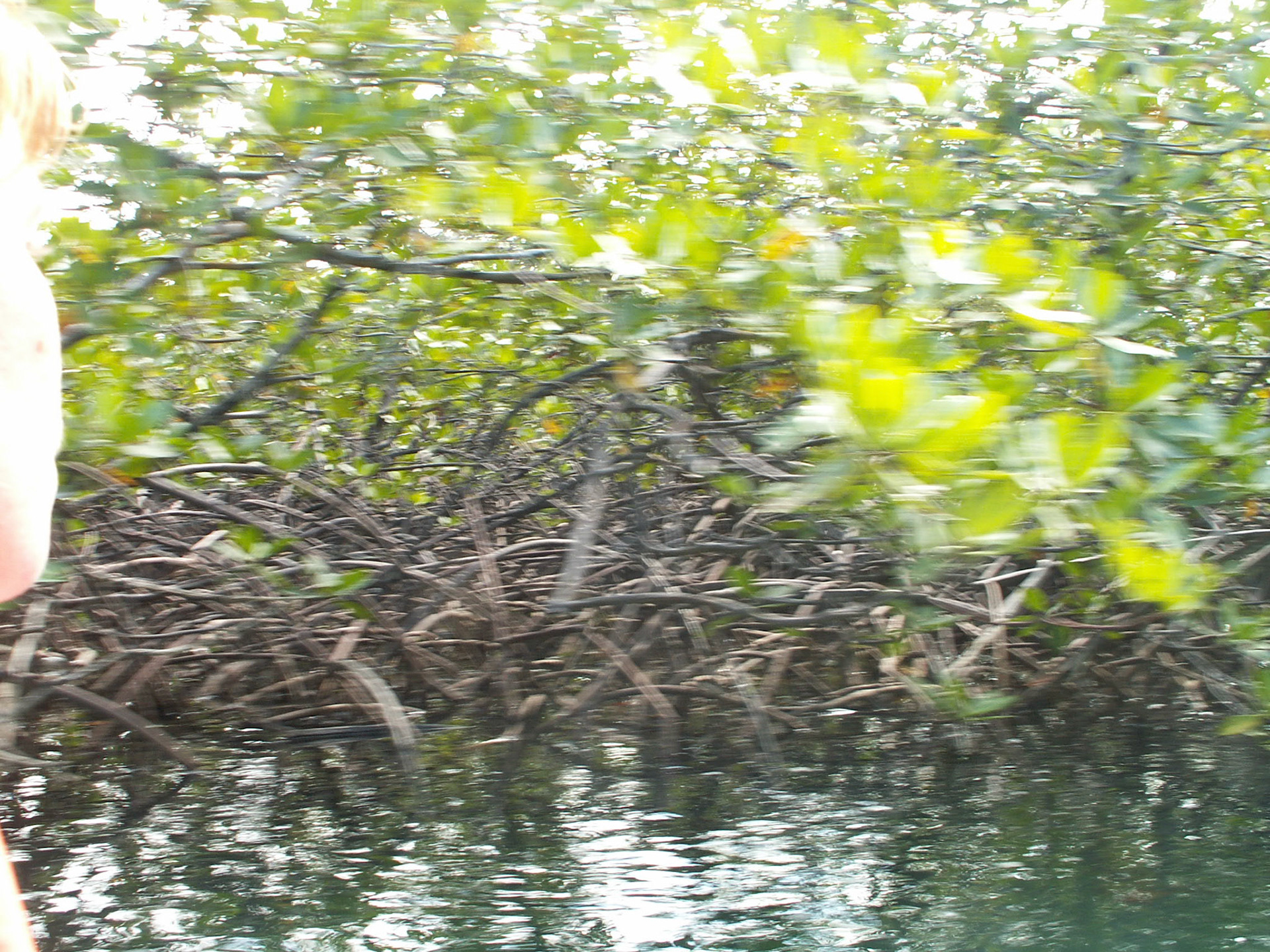 KONICA MINOLTA DIGITAL CAMERA