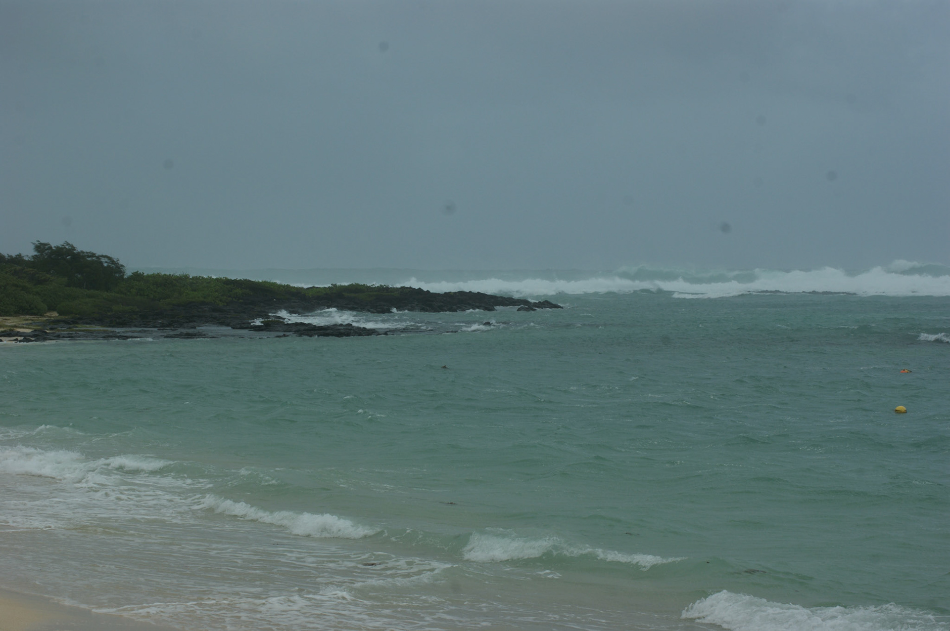 SONY DSC