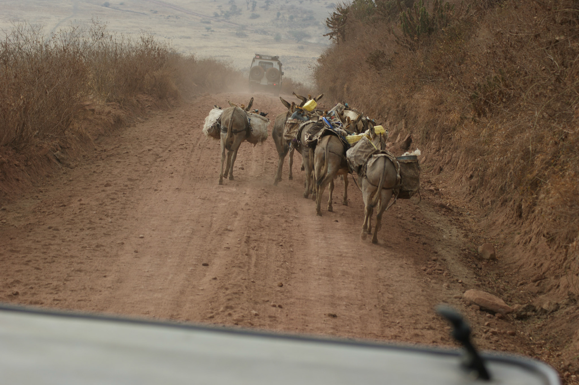 3.10.2009 TANZANIE - Ngorongoro NP