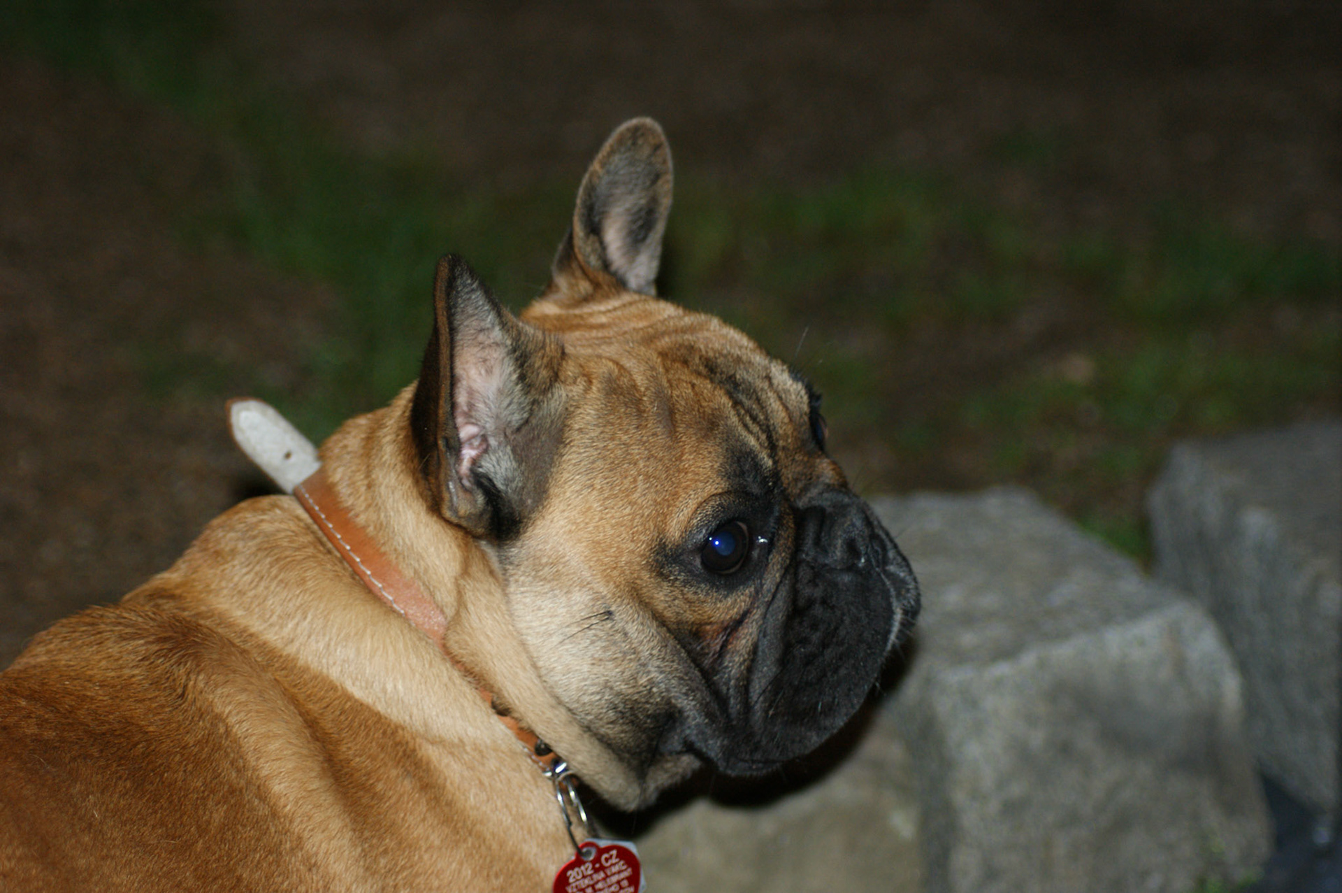 SONY DSC