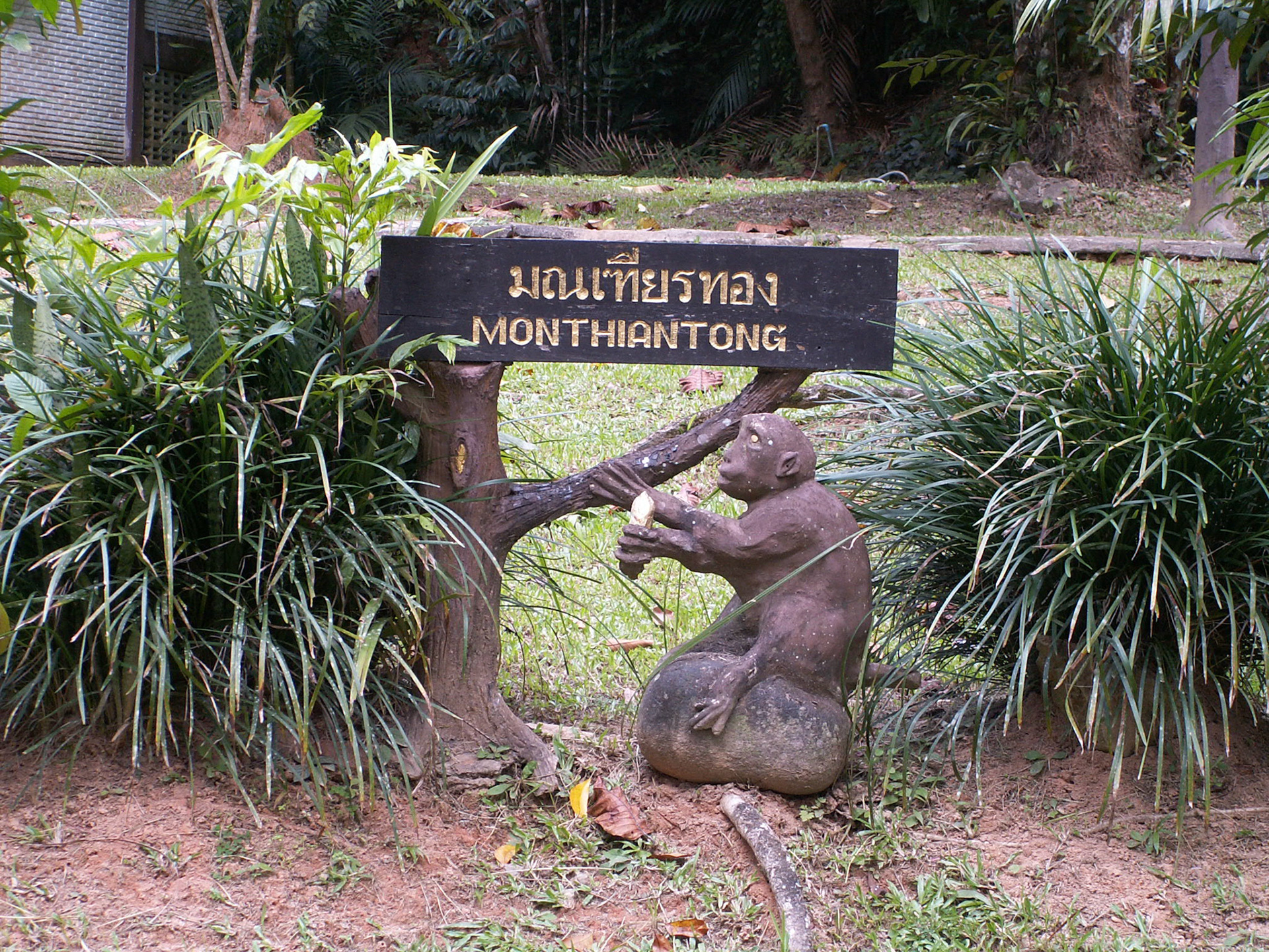 KONICA MINOLTA DIGITAL CAMERA