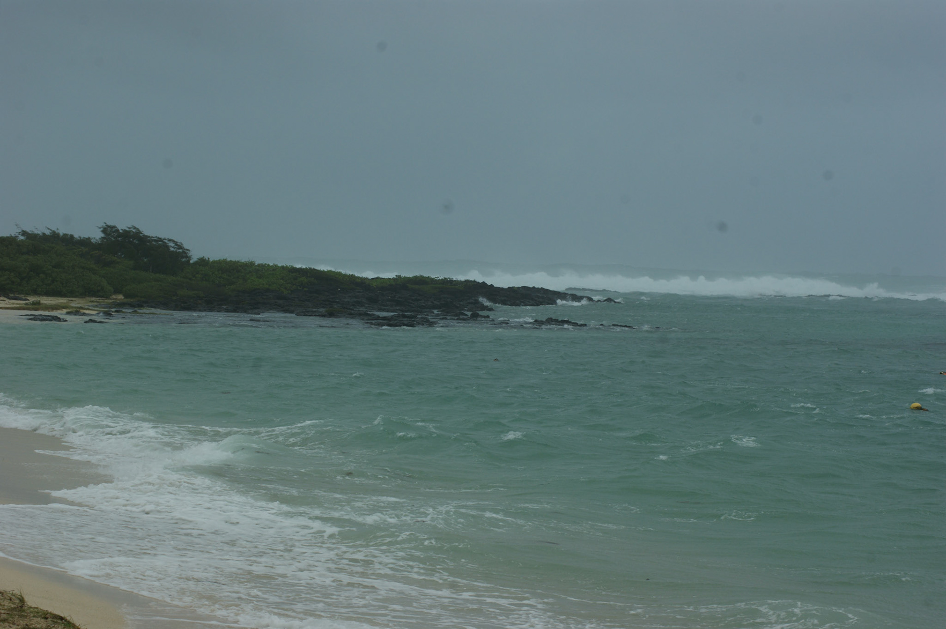 SONY DSC