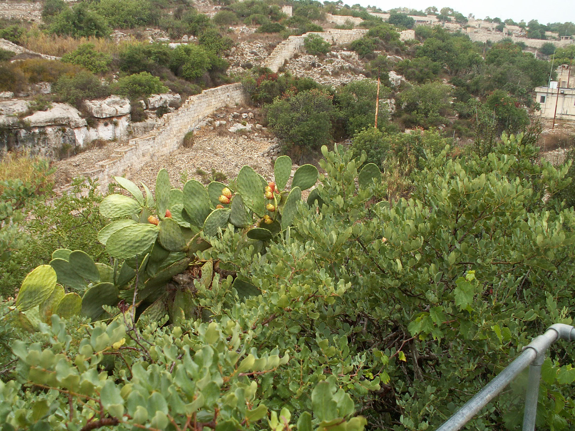 KONICA MINOLTA DIGITAL CAMERA