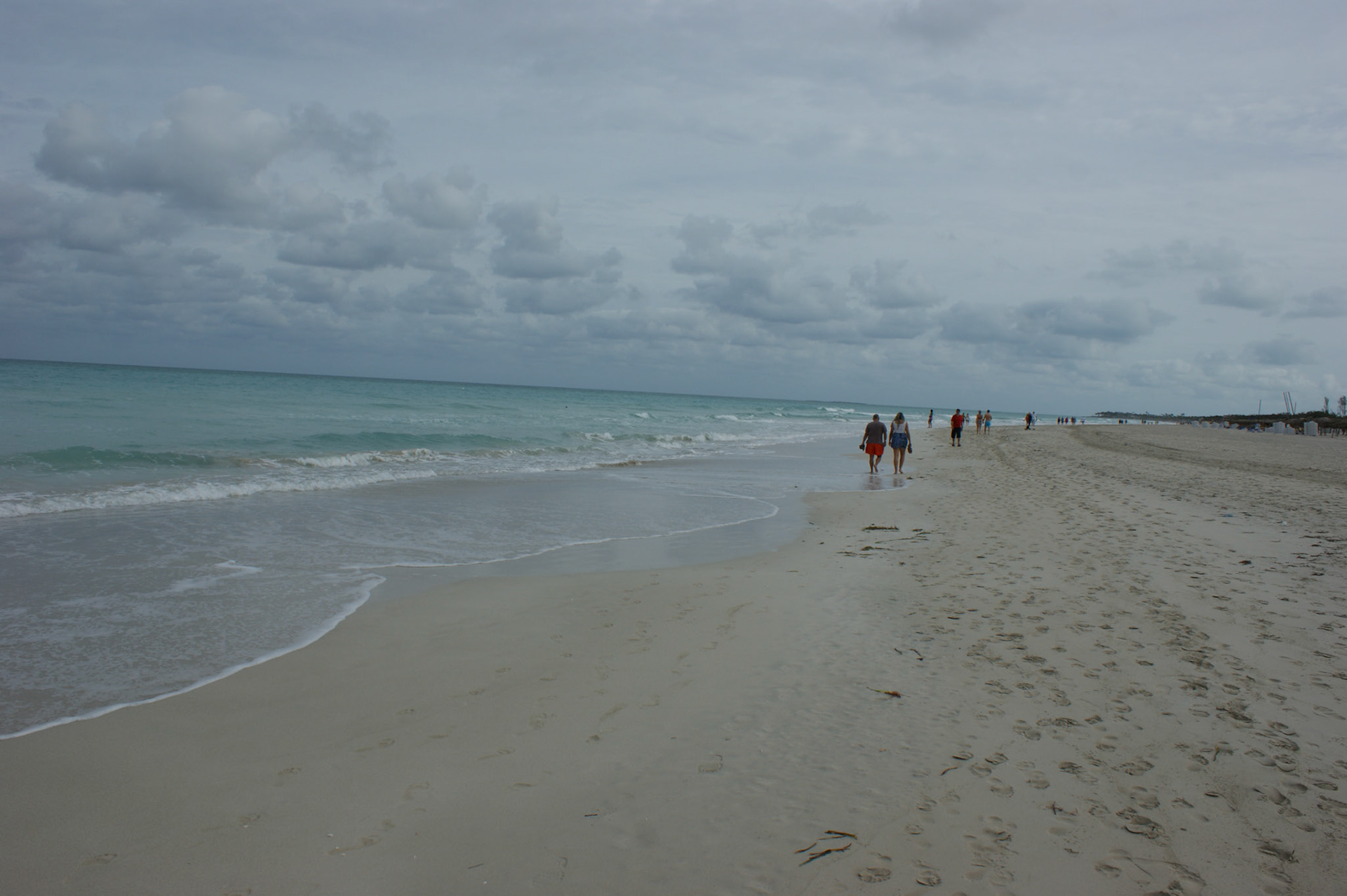 SONY DSC