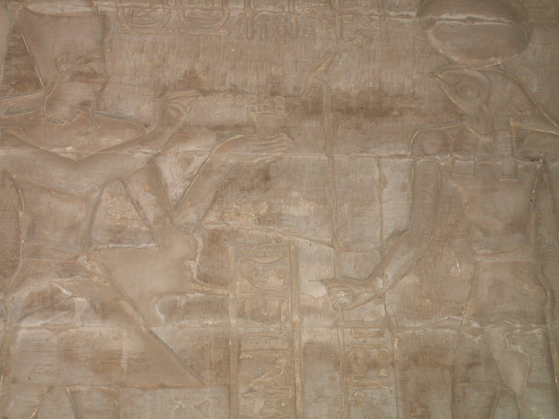 KONICA MINOLTA DIGITAL CAMERA