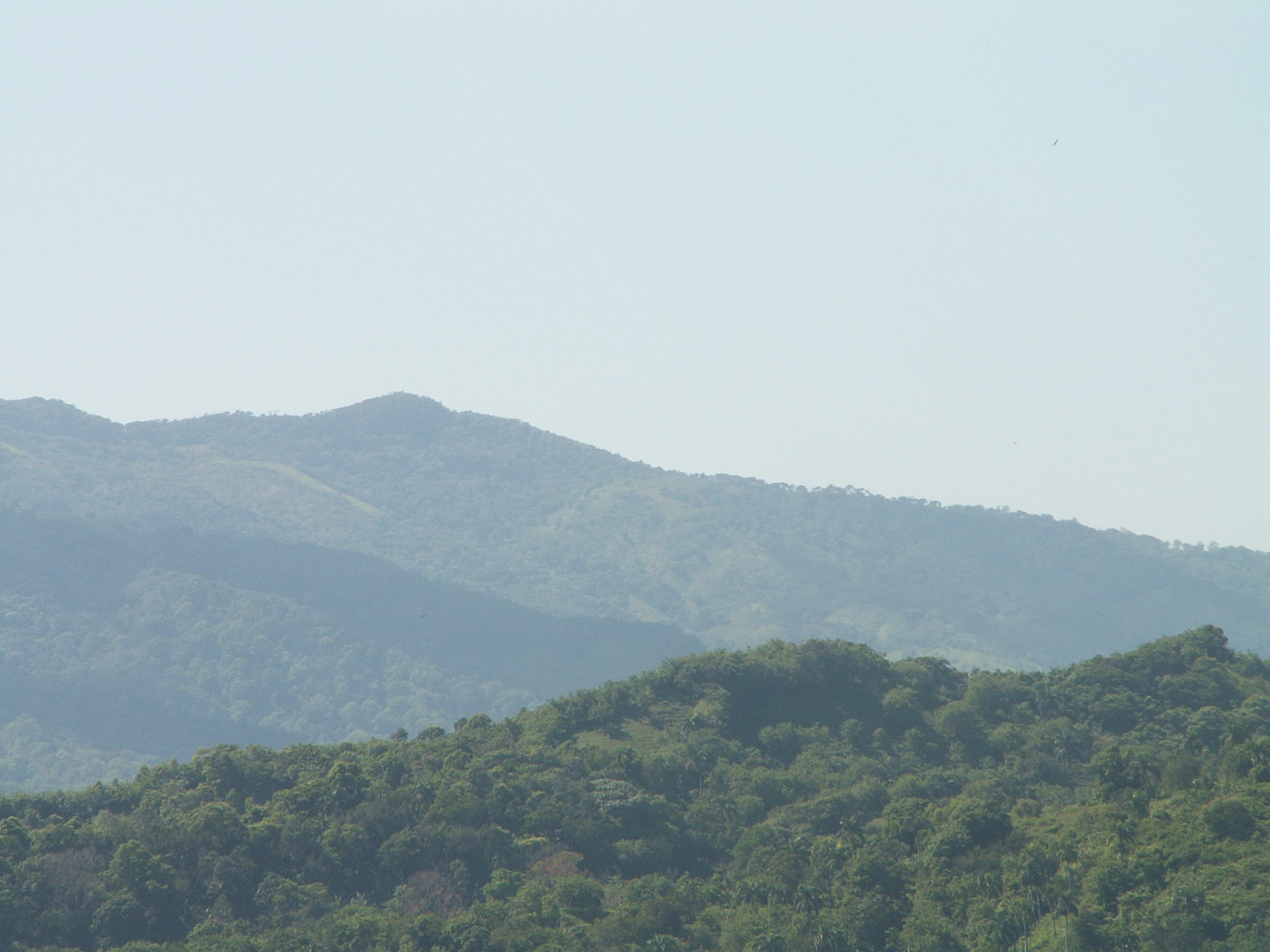 KONICA MINOLTA DIGITAL CAMERA