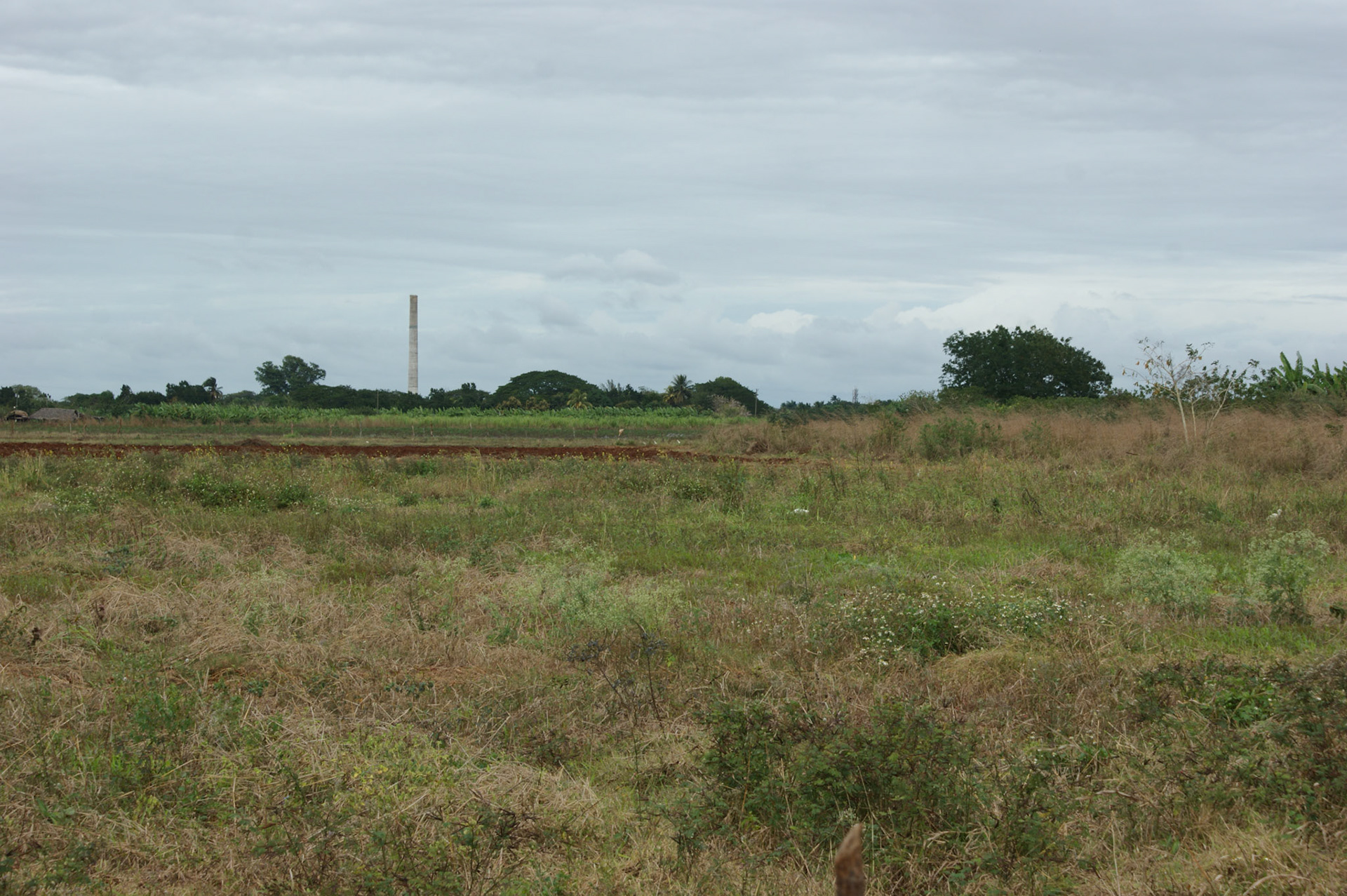 SONY DSC