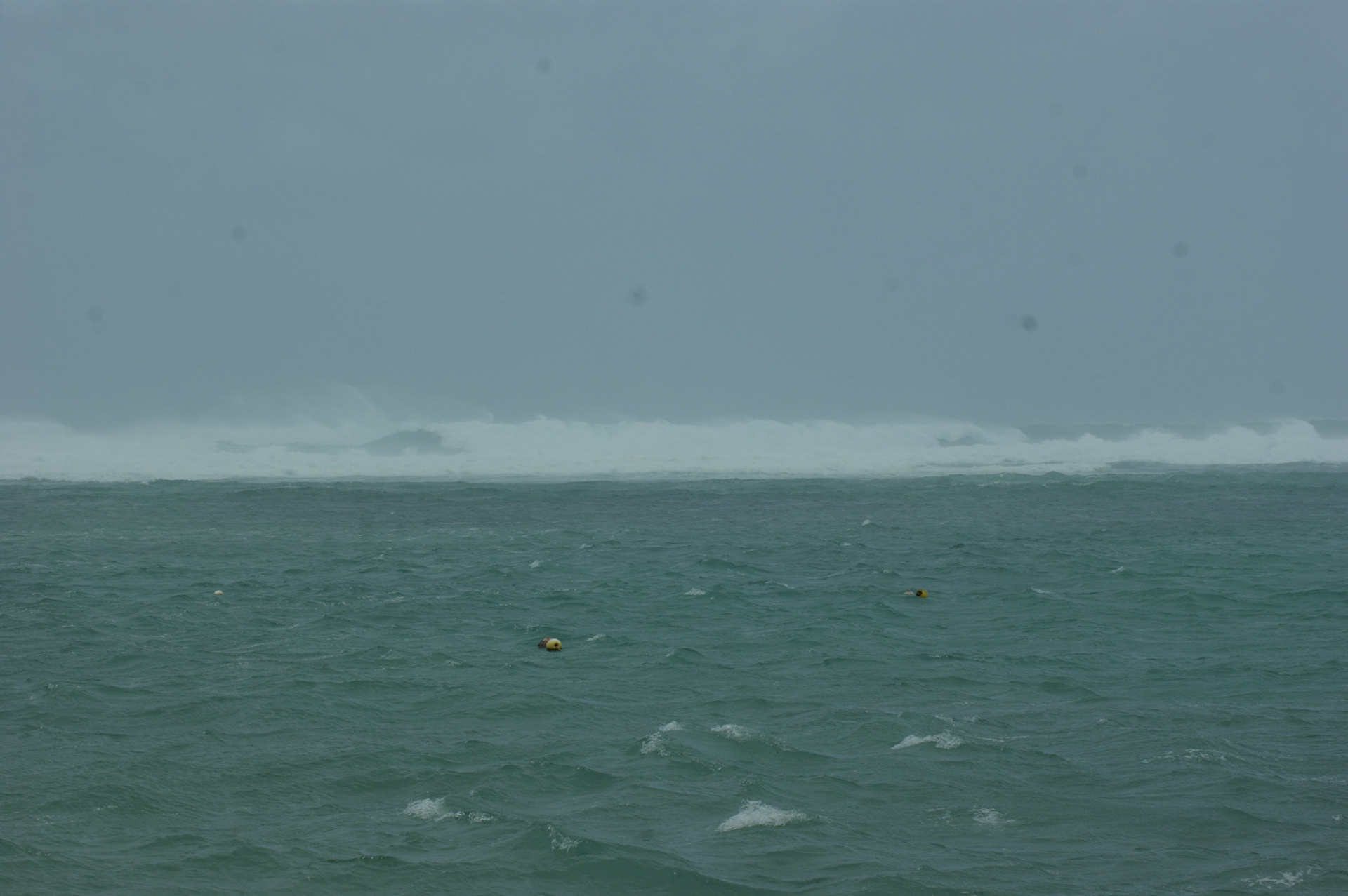 SONY DSC