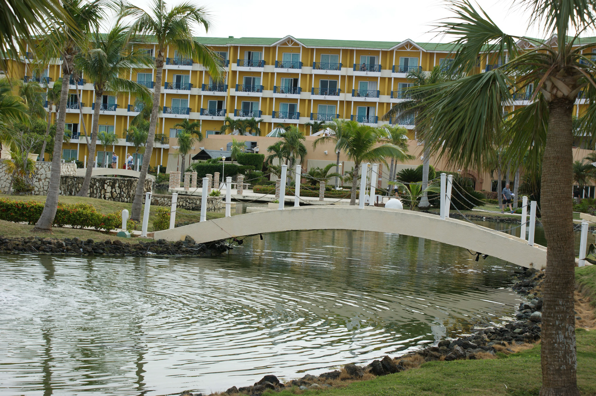SONY DSC