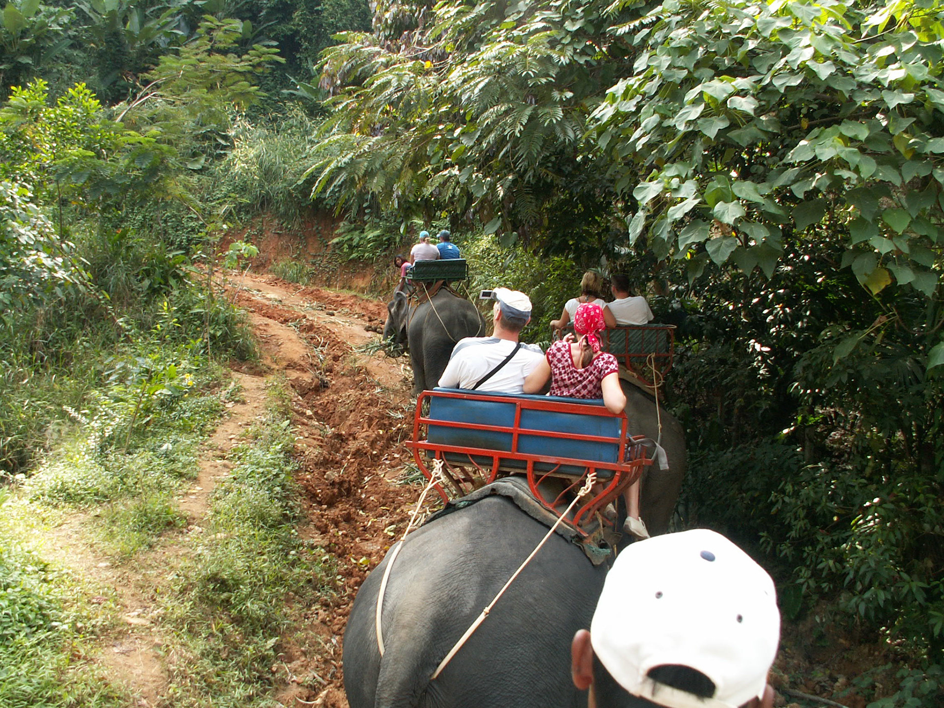 KONICA MINOLTA DIGITAL CAMERA