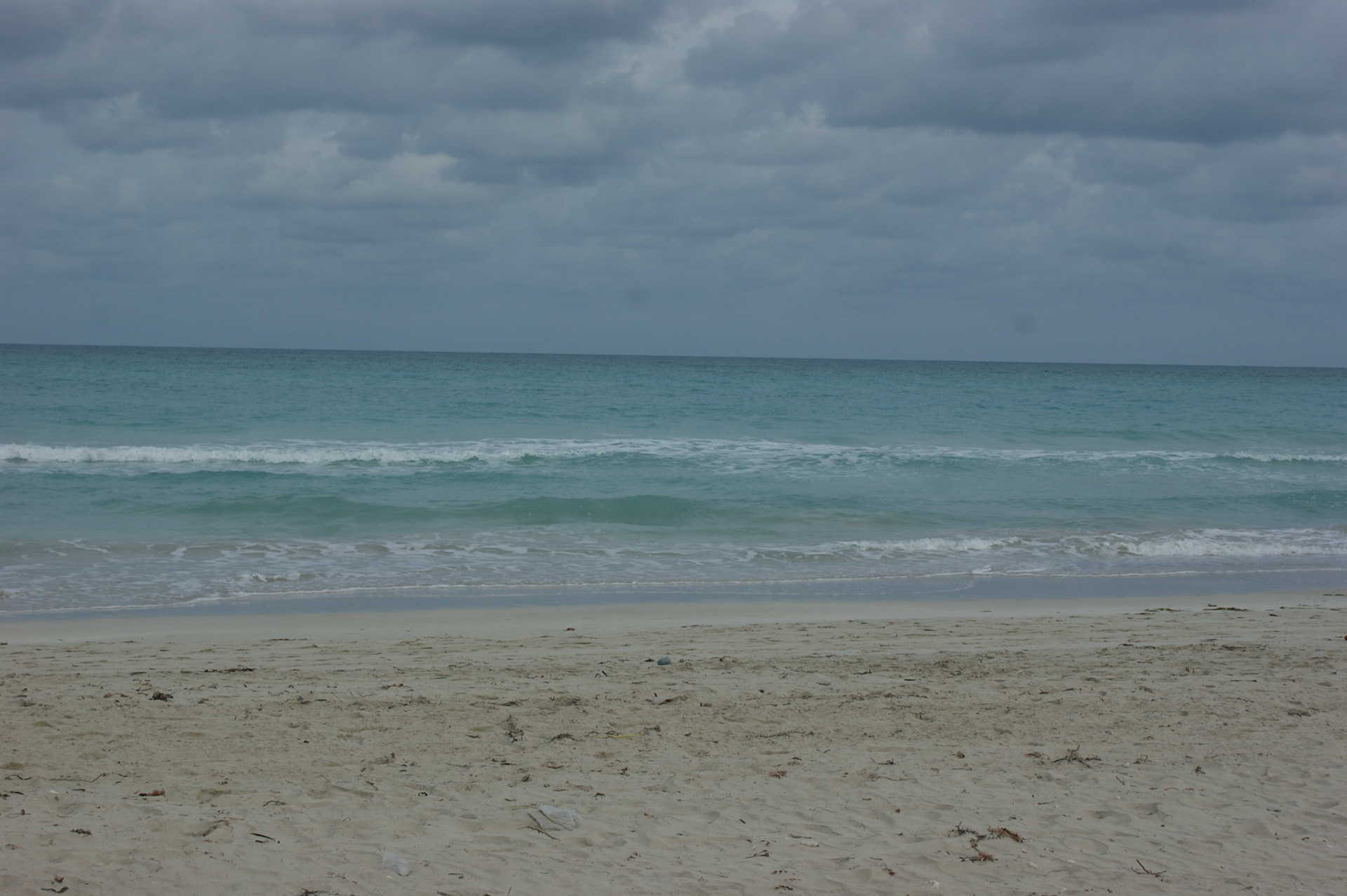 SONY DSC