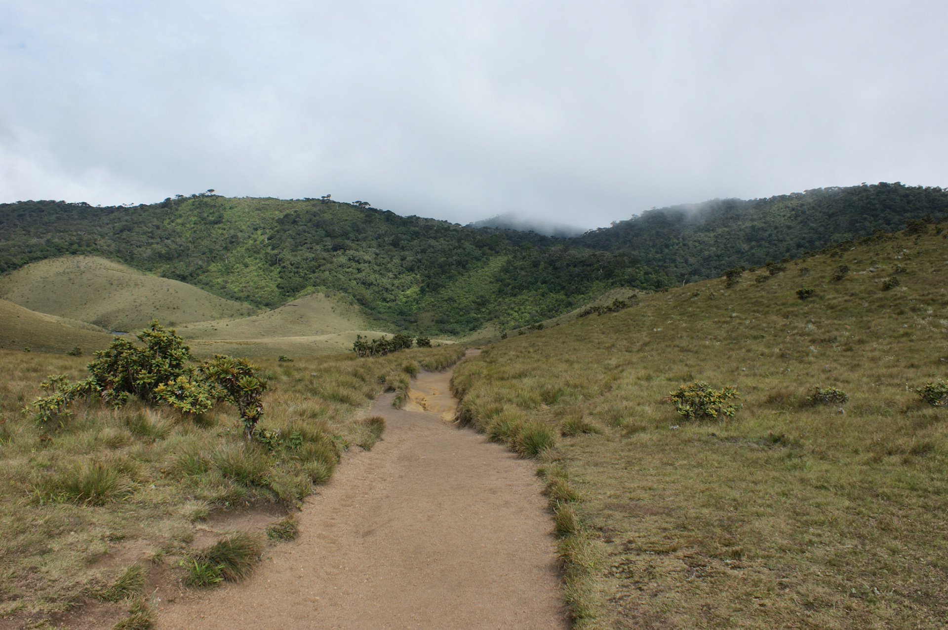 7.9.11 HORTONSKÉ PLÁNĚ - Konec světa