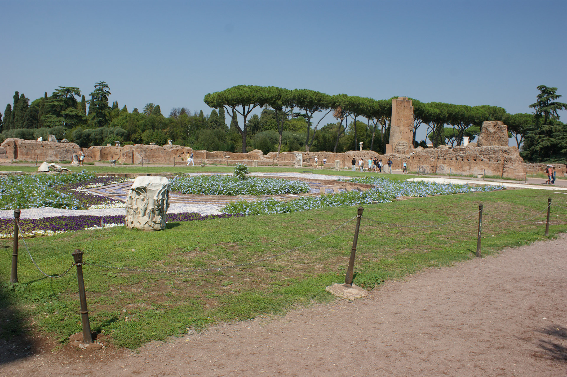 SONY DSC