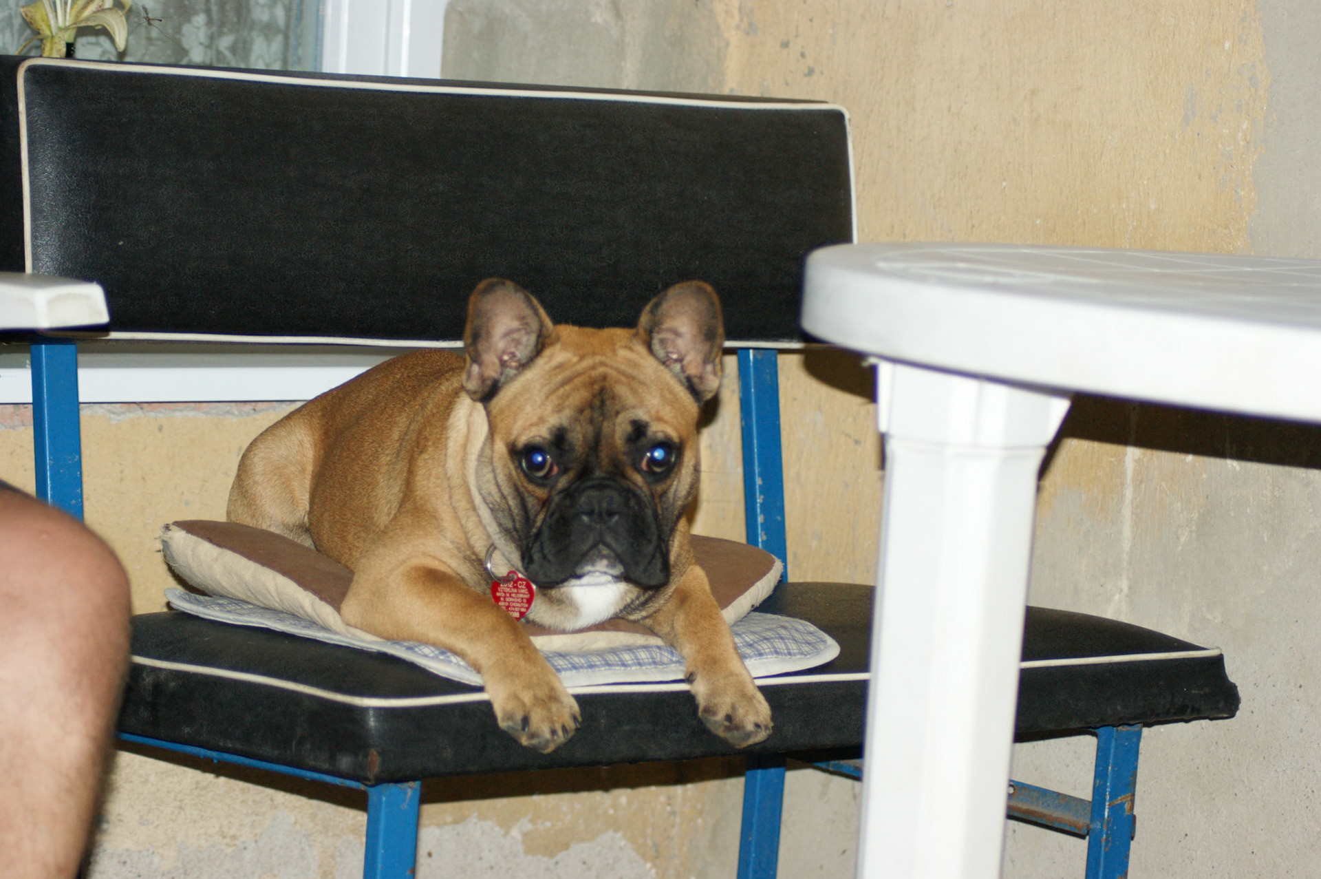 SONY DSC