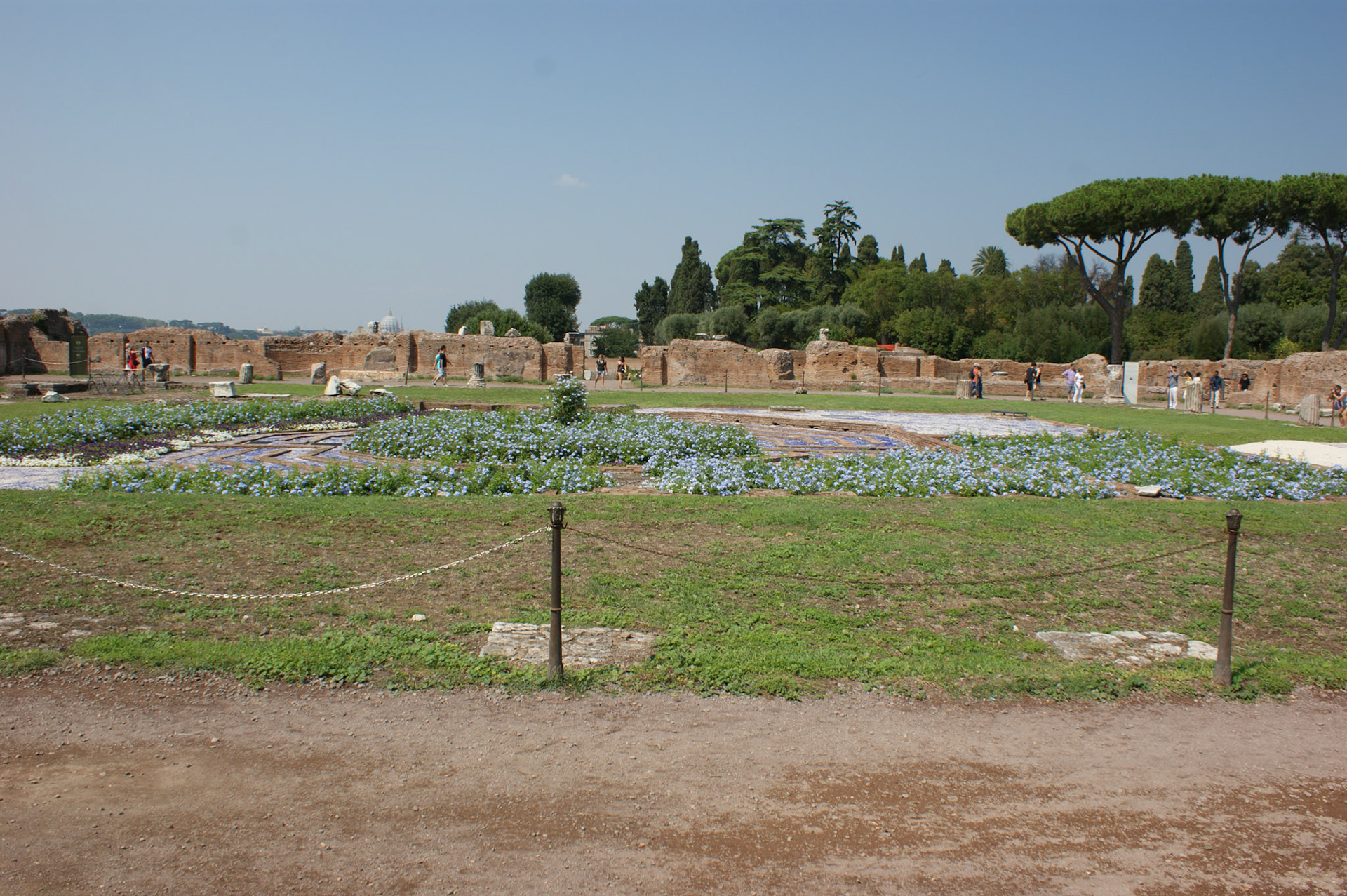 SONY DSC