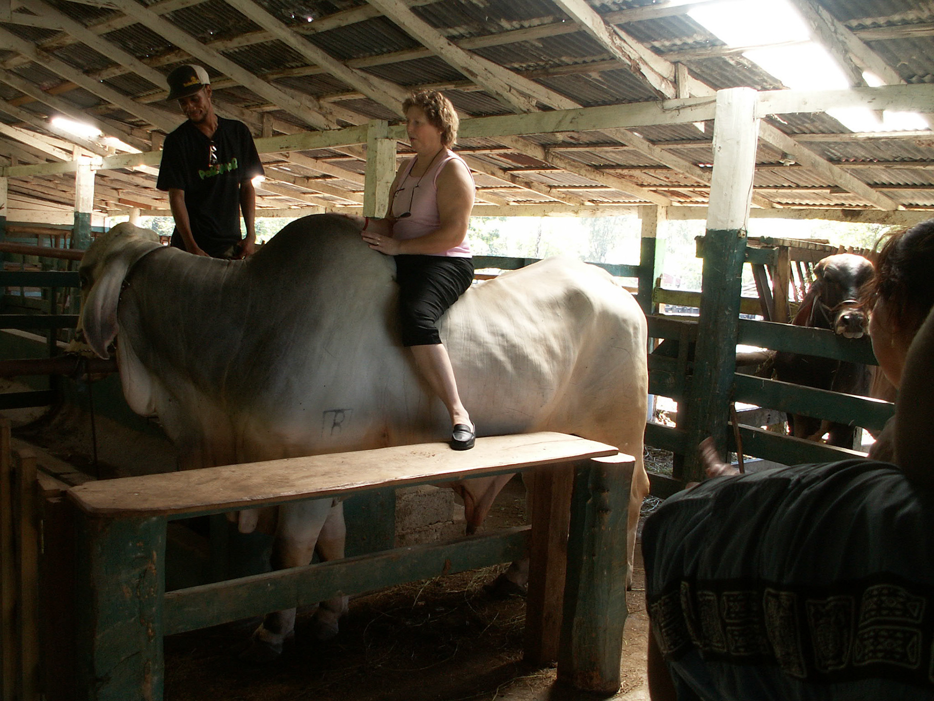 KONICA MINOLTA DIGITAL CAMERA