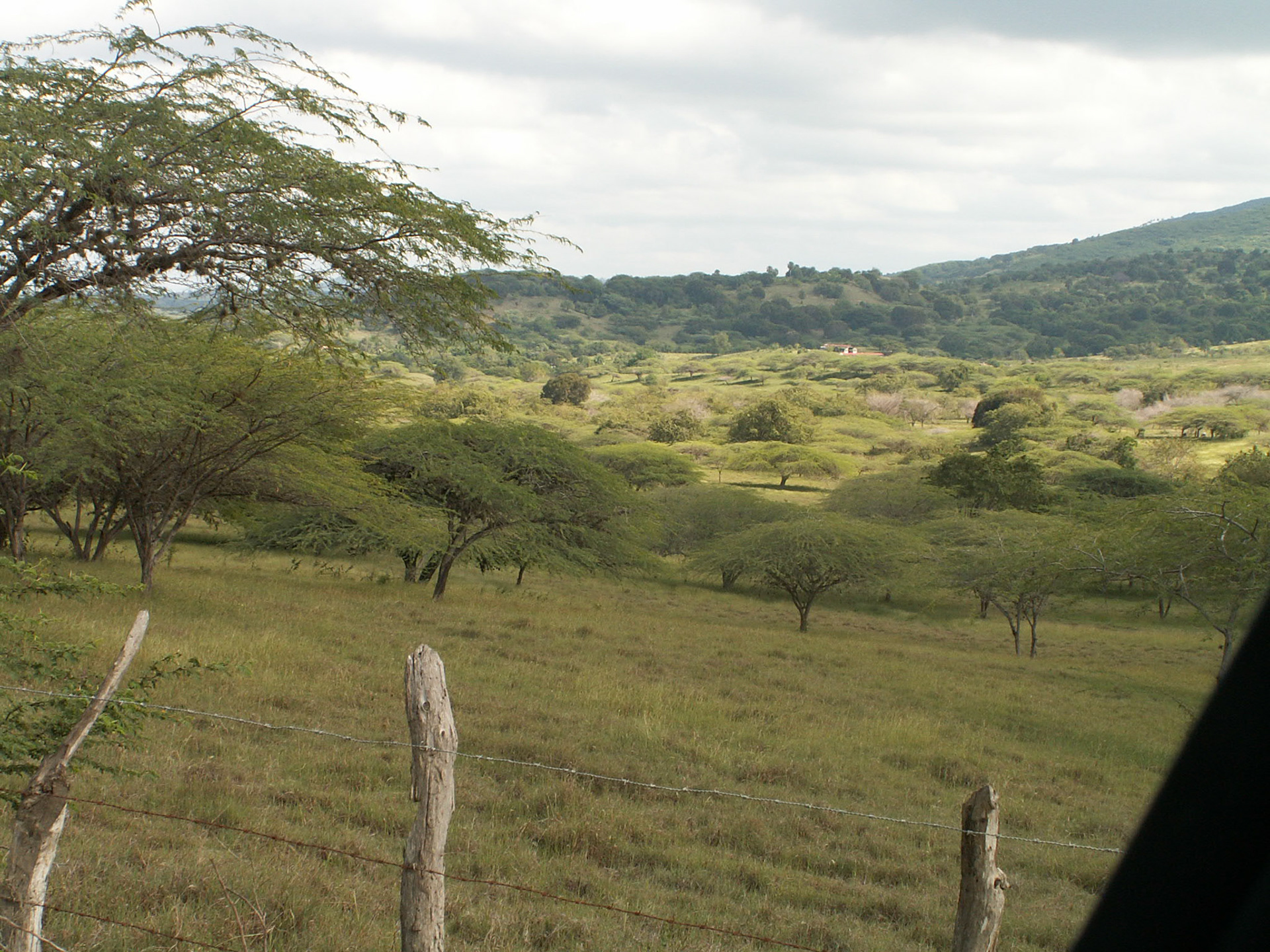 KONICA MINOLTA DIGITAL CAMERA