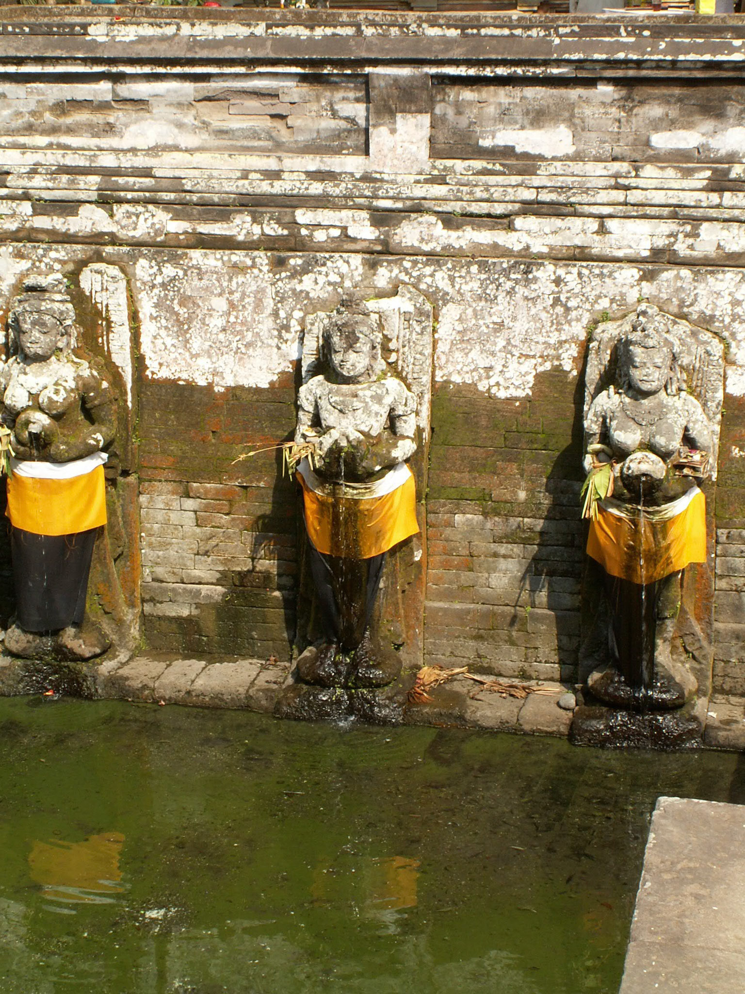 KONICA MINOLTA DIGITAL CAMERA