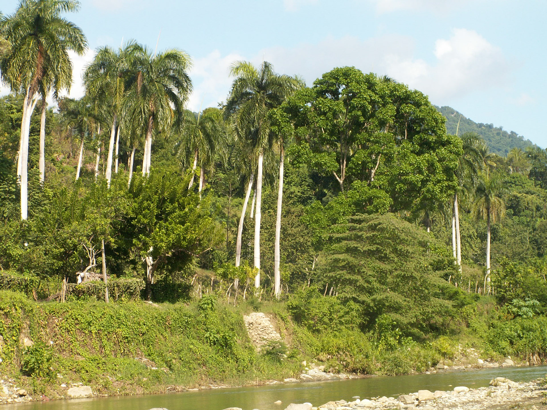 KONICA MINOLTA DIGITAL CAMERA