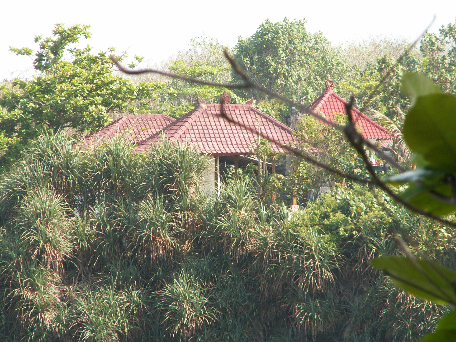 KONICA MINOLTA DIGITAL CAMERA