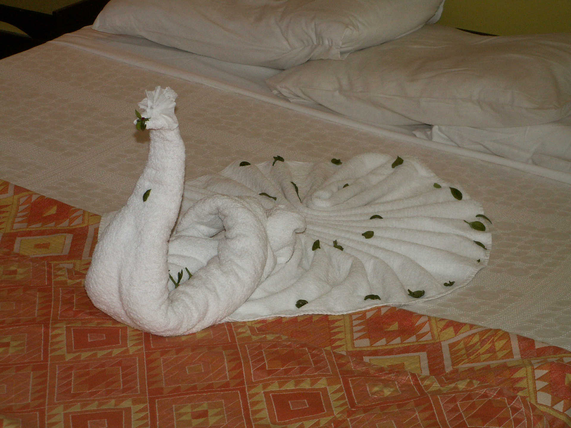 KONICA MINOLTA DIGITAL CAMERA