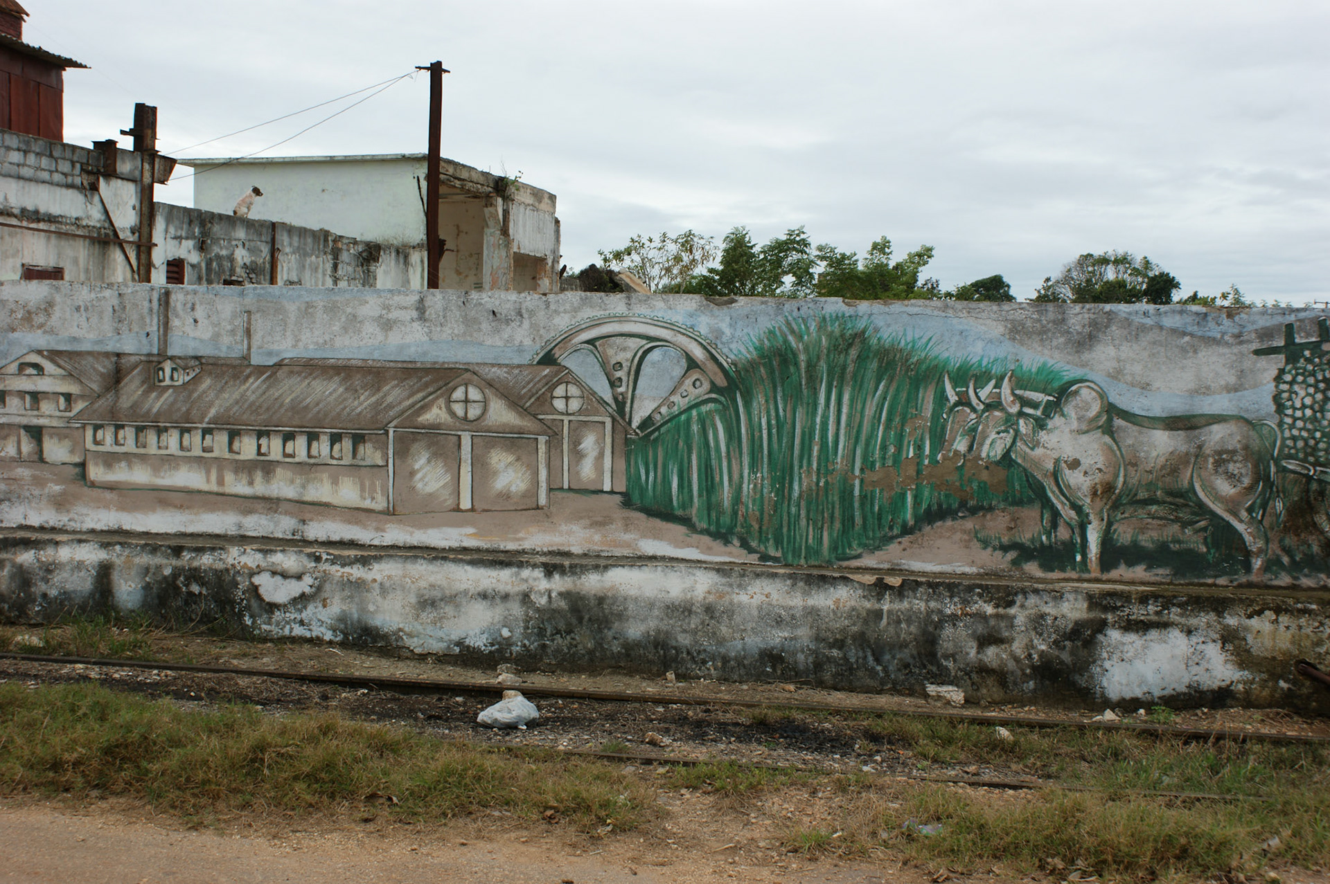 SONY DSC