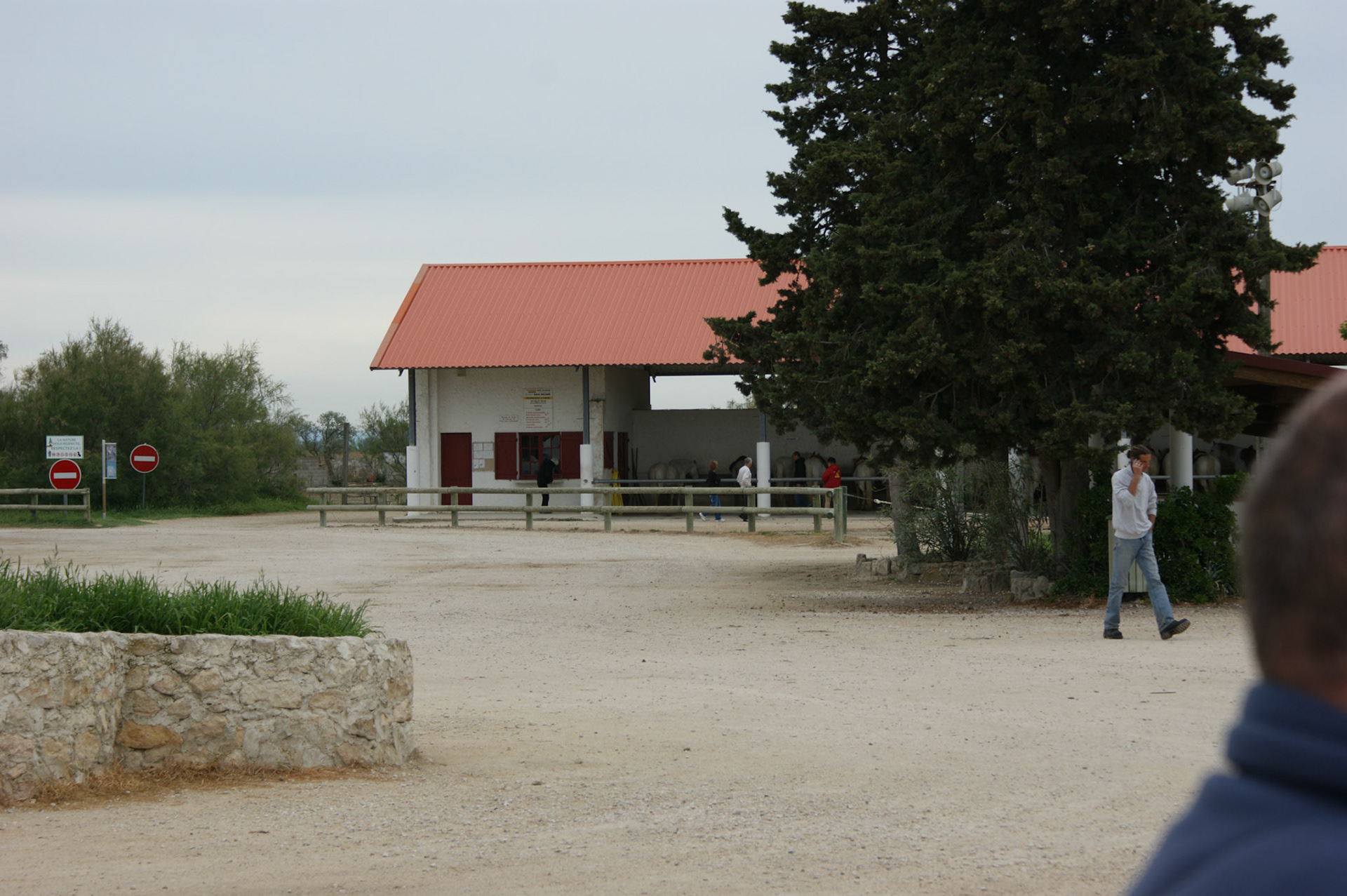 SONY DSC