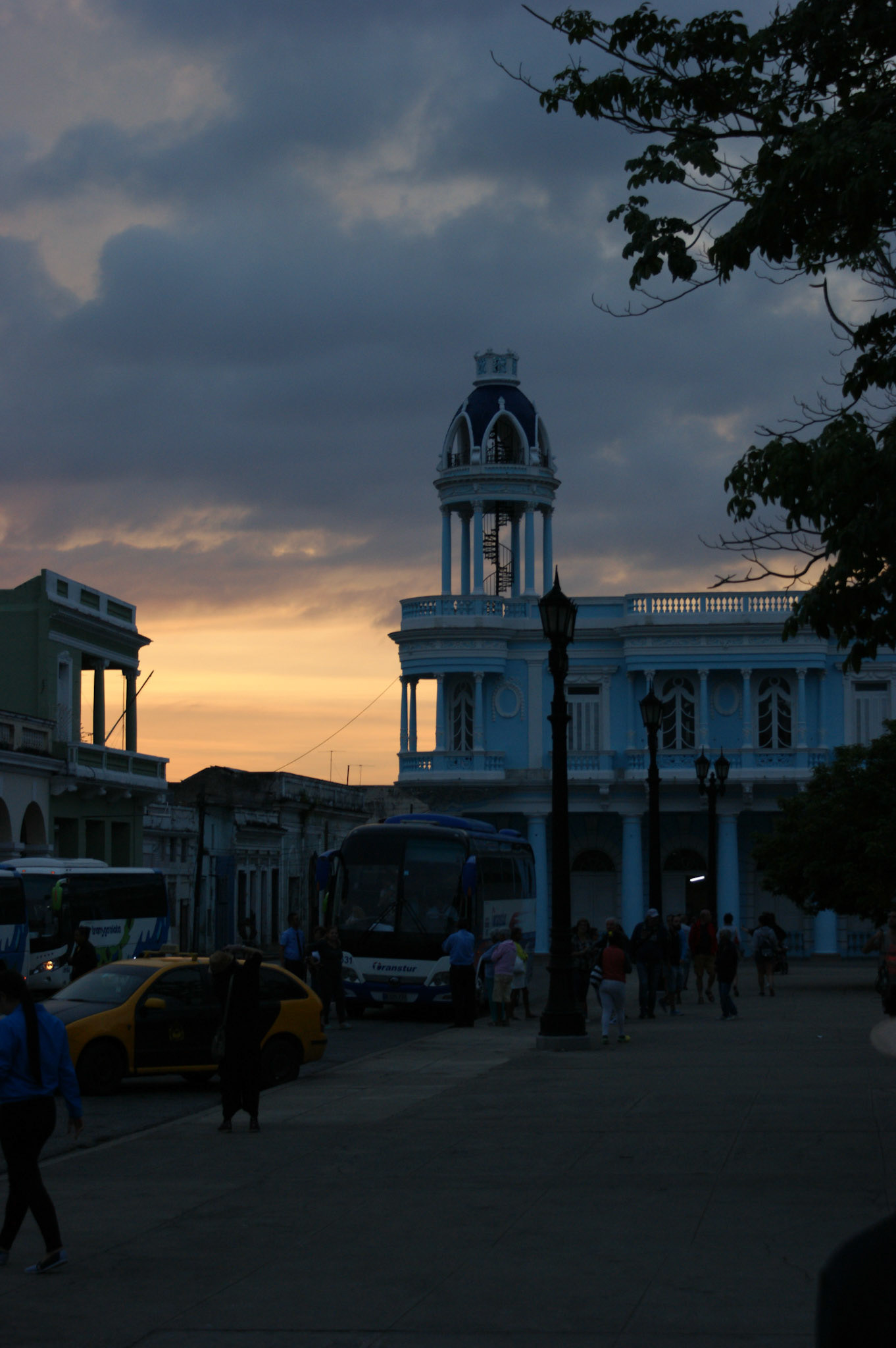 SONY DSC