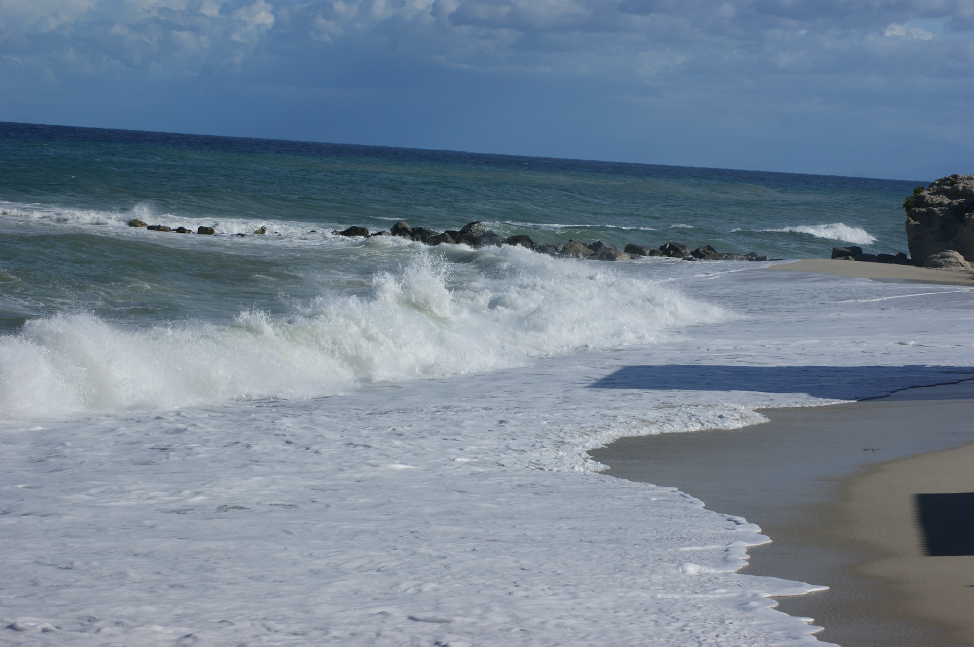 SONY DSC
