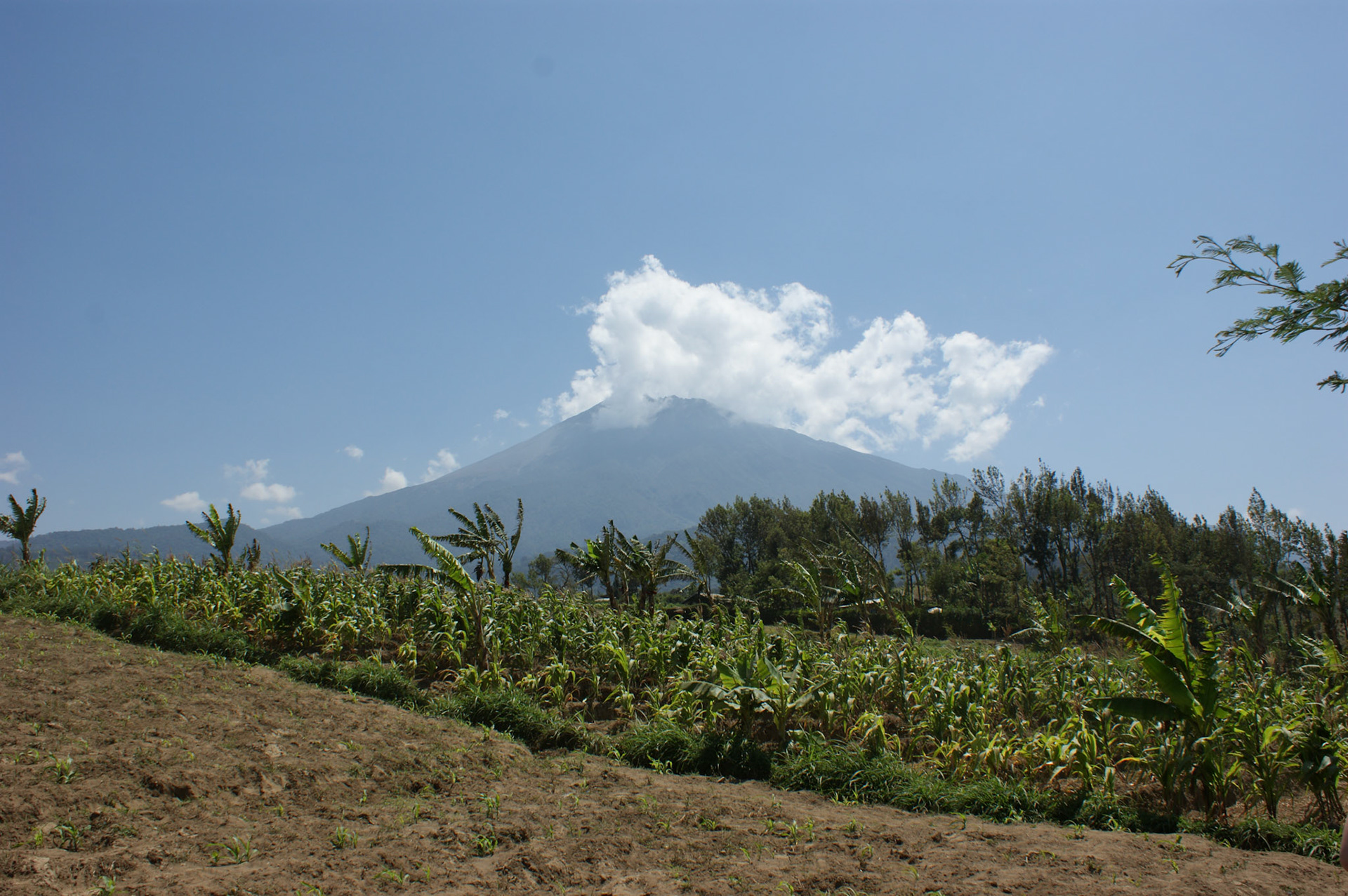 29.9.2009 TANZANIE - Arusha - Masajská vesnice