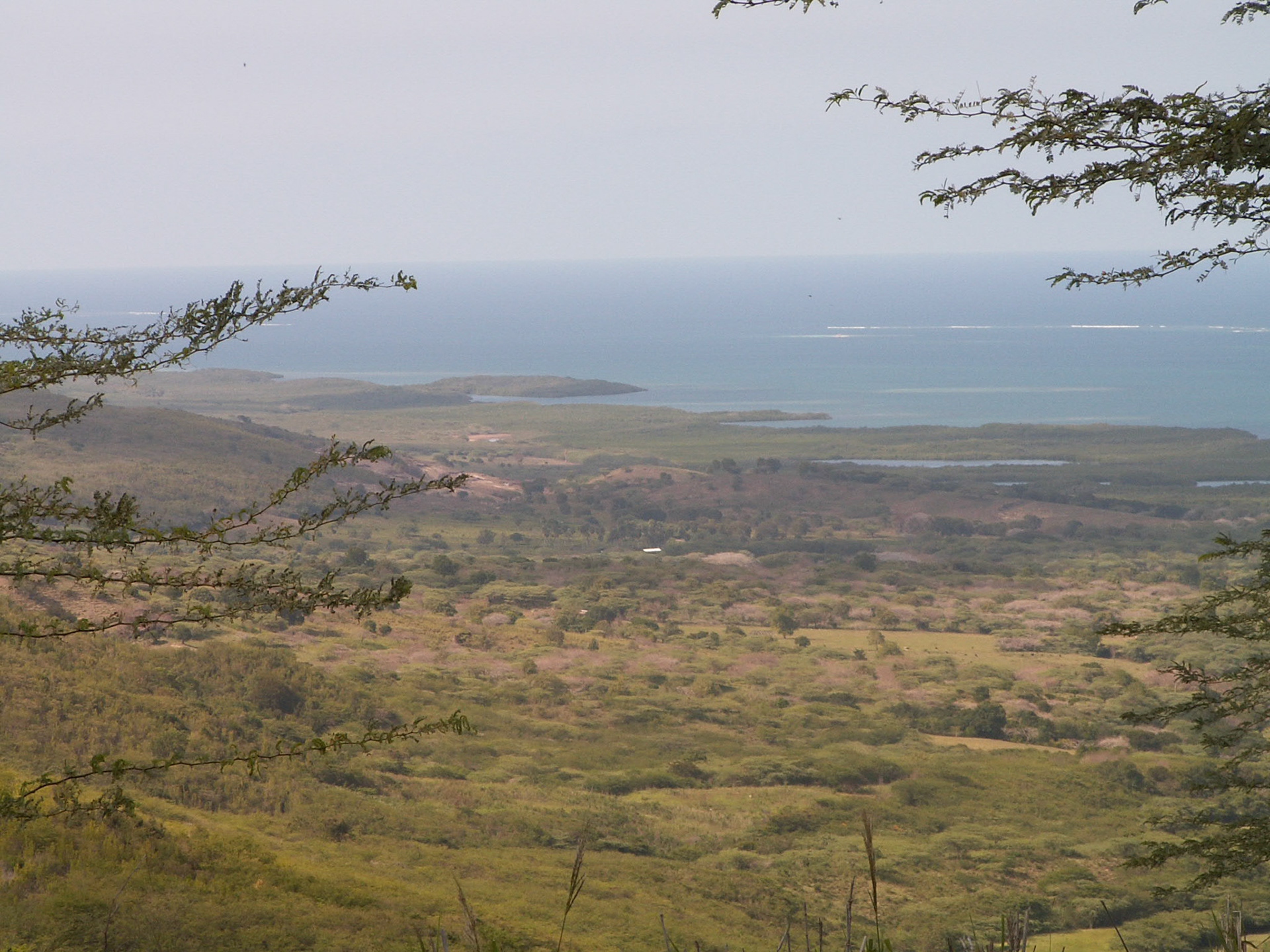 KONICA MINOLTA DIGITAL CAMERA