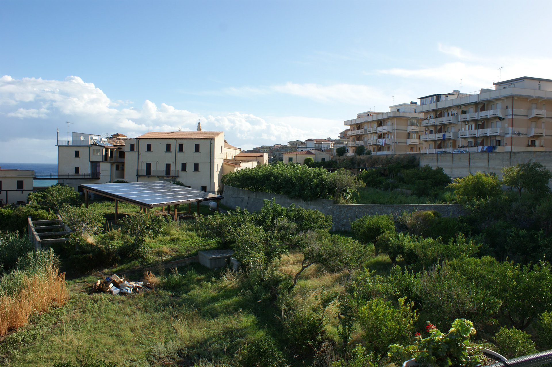 SONY DSC