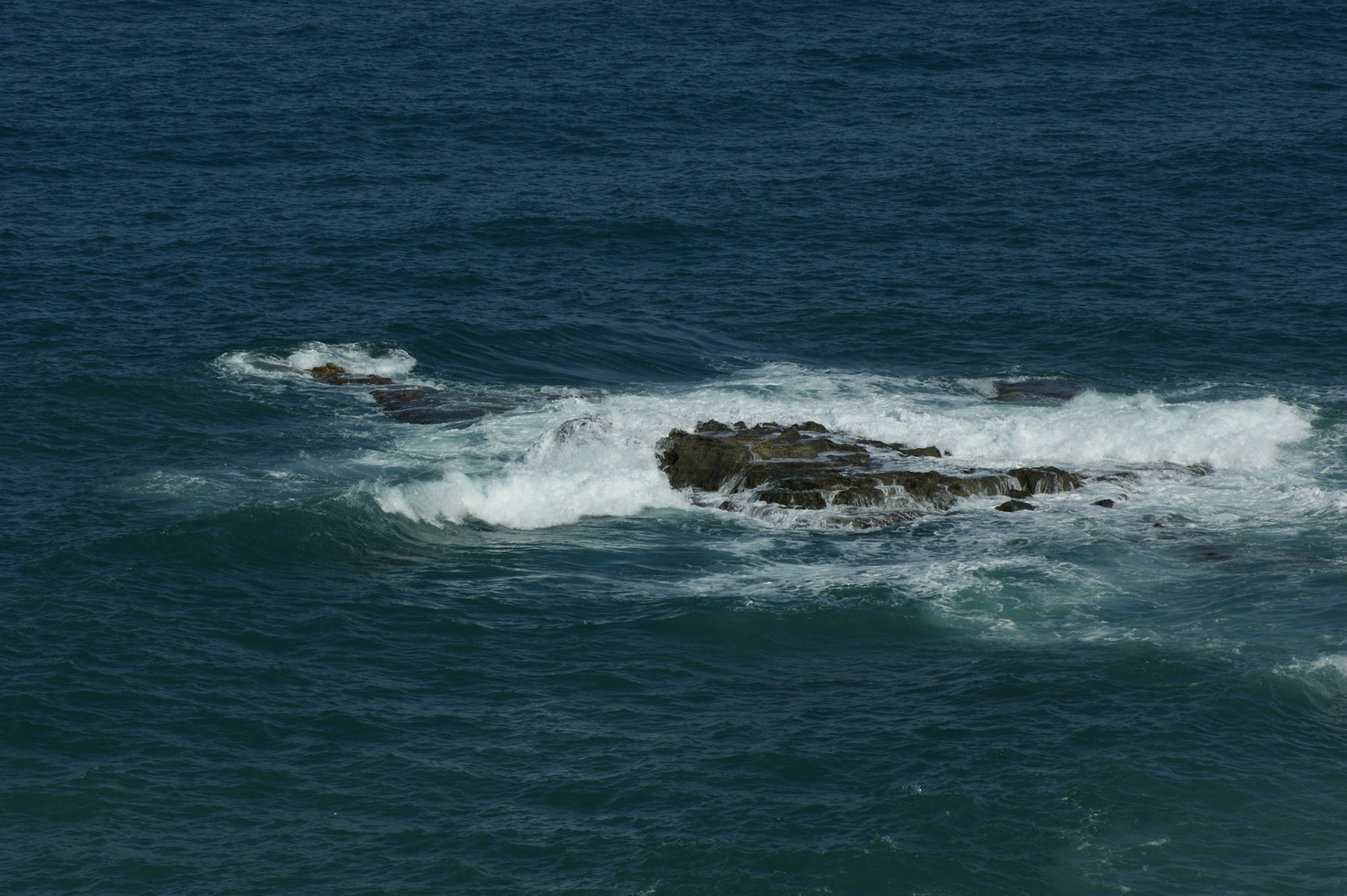 SONY DSC