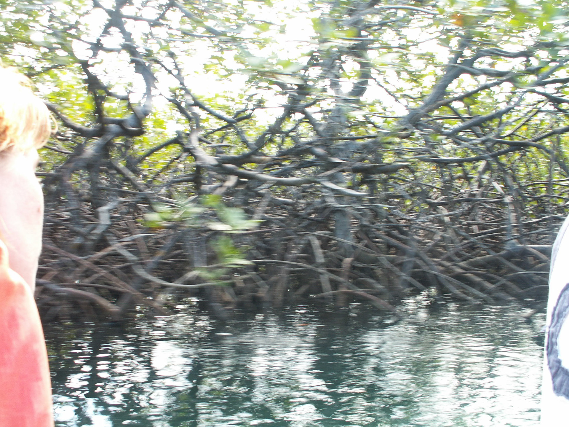 KONICA MINOLTA DIGITAL CAMERA